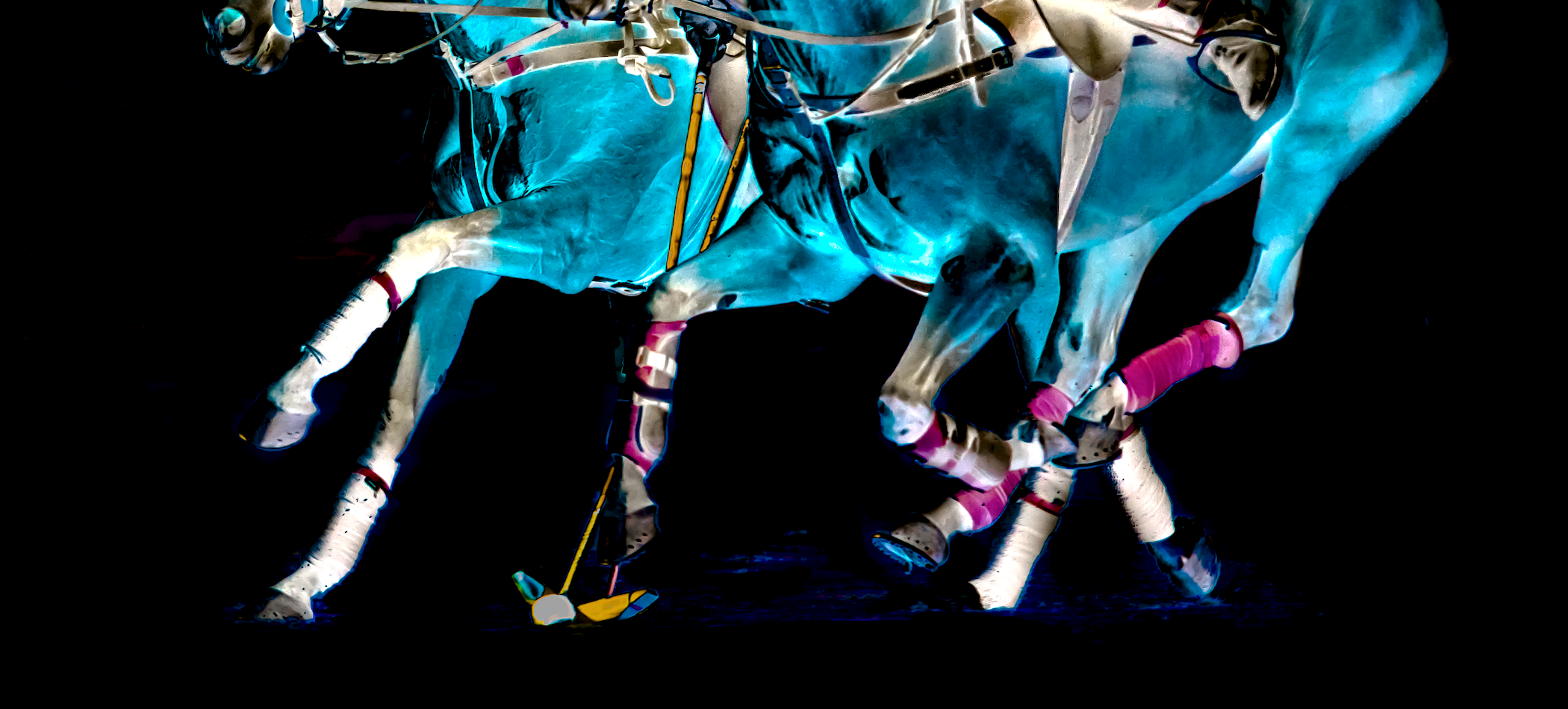 Screen Shot 2017-10-25 at 2.44.17 PM.png