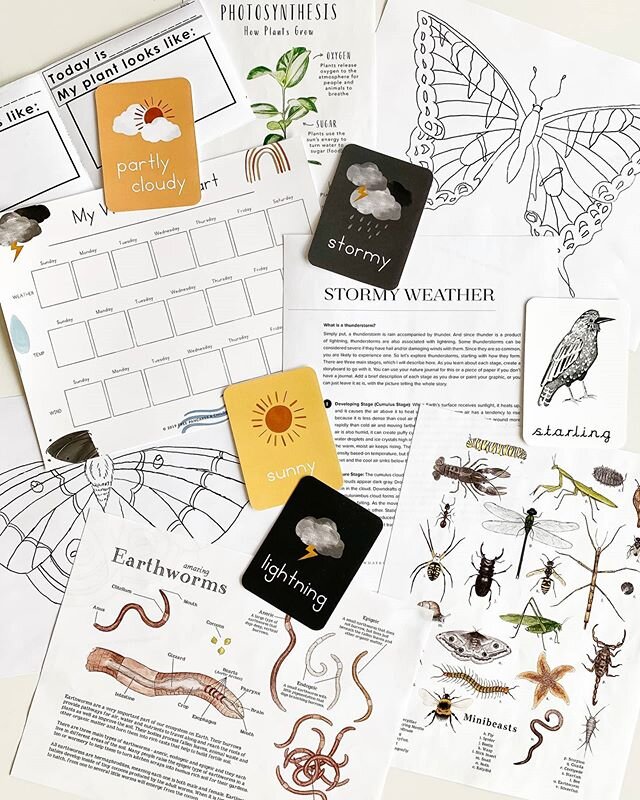 These are just some of the nature resources that you can find in the Gardenschooling bundle. 🐛🔍 In addition to learning about plant life cycles and different kinds of garden vegetables, there are also resources about bugs, weather and birds too! ..