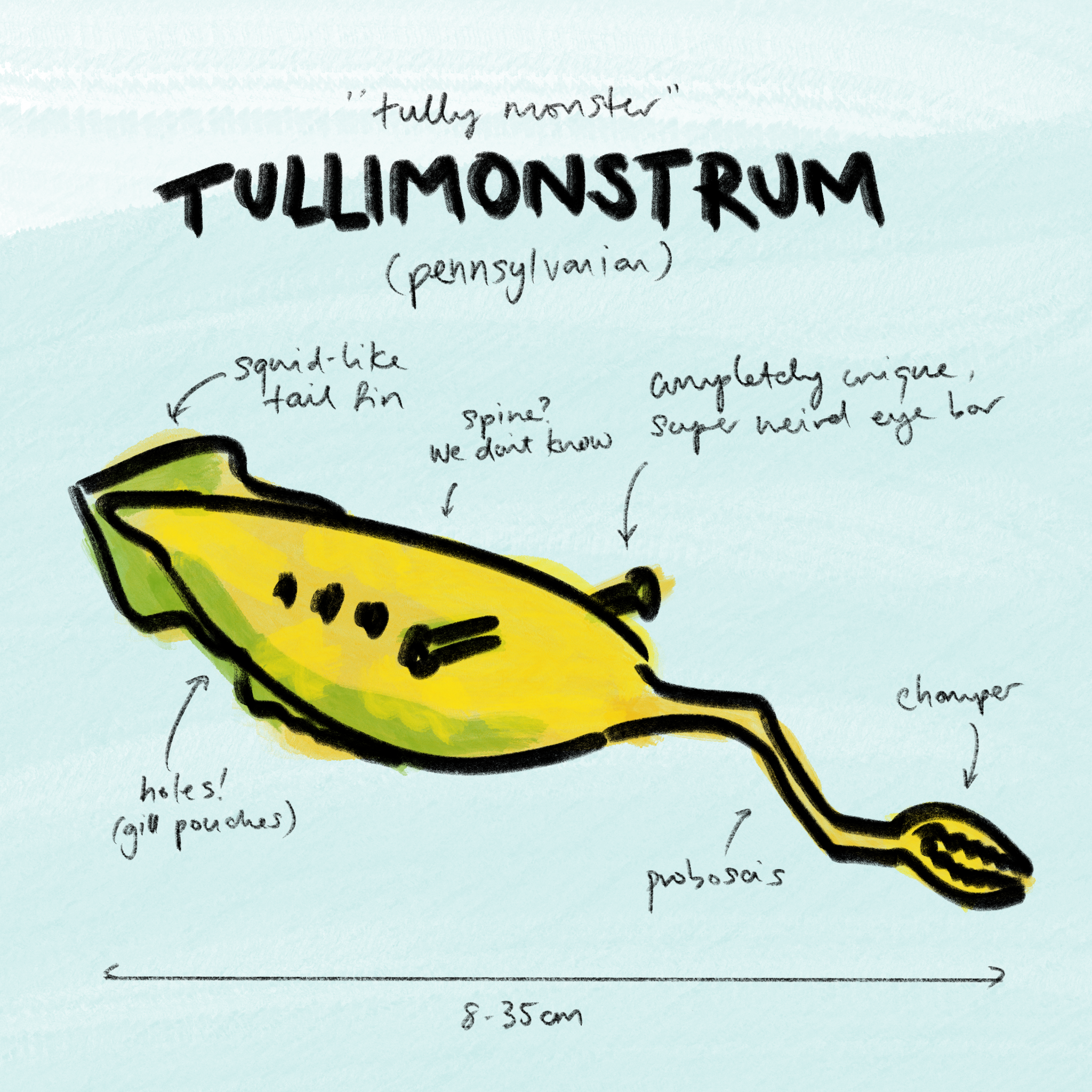 Tullimostrum