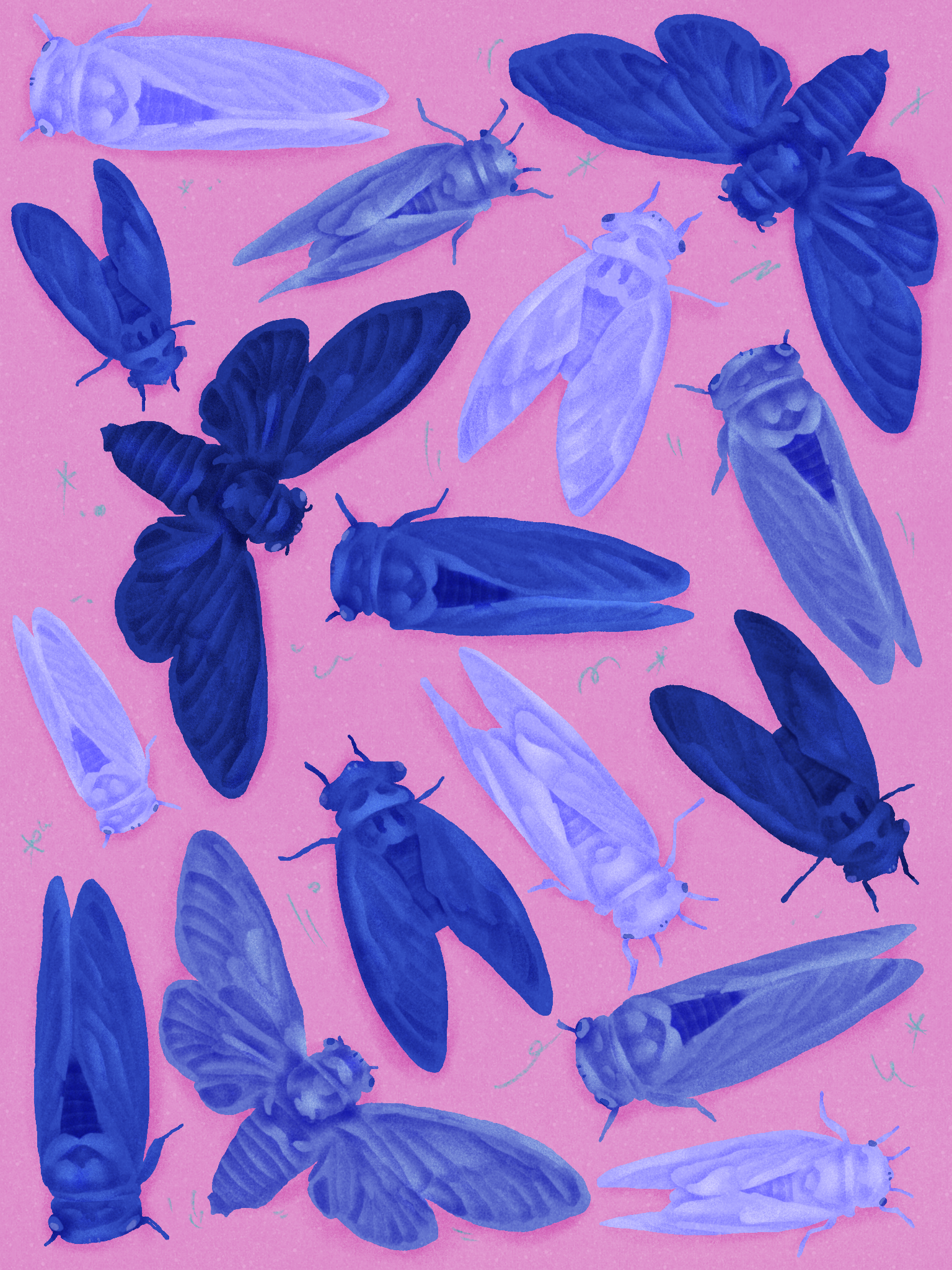 Billions (Yes, Billions) of Cicadas Soon to Emerge From Underground