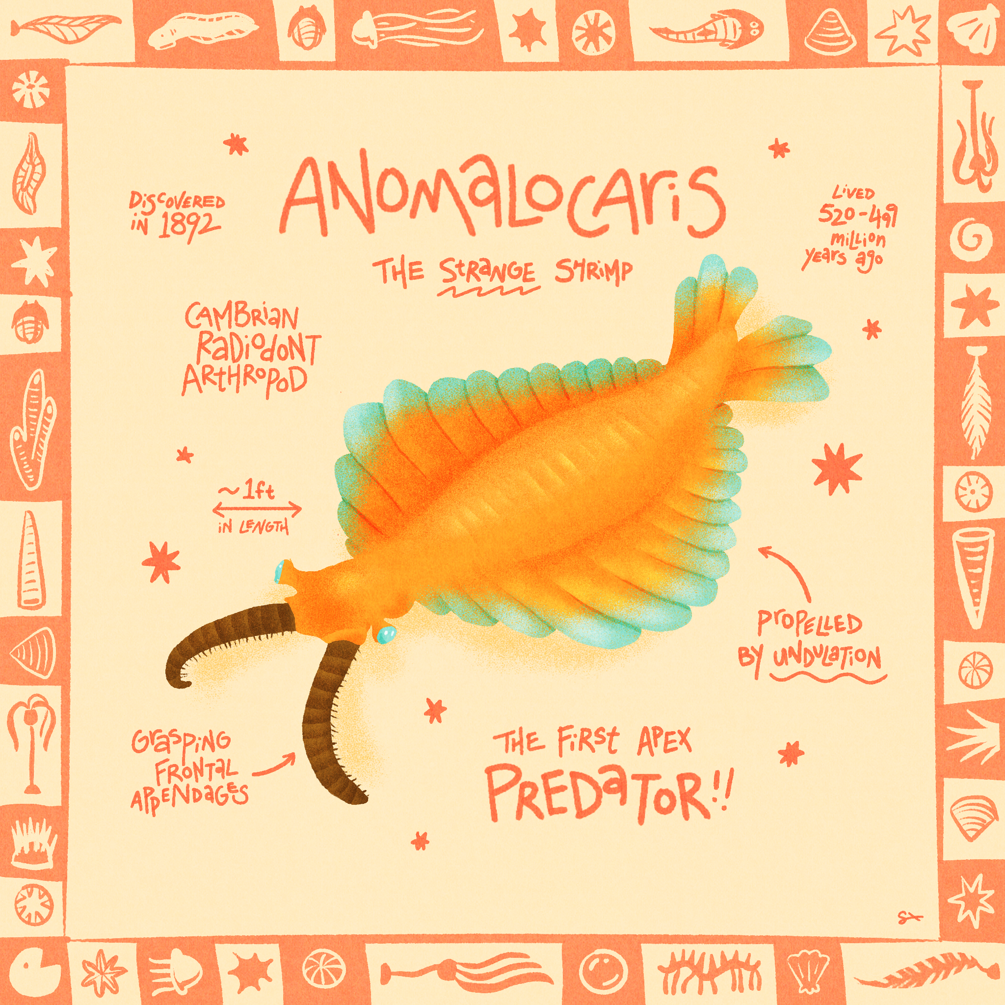 anomalocaris_sticker.png