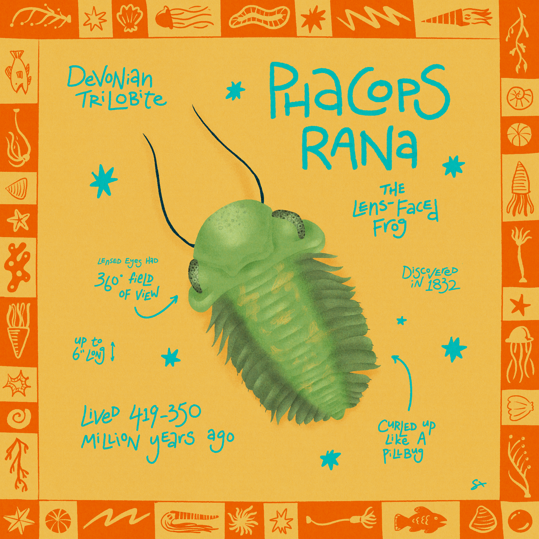 phacops_sticker.png