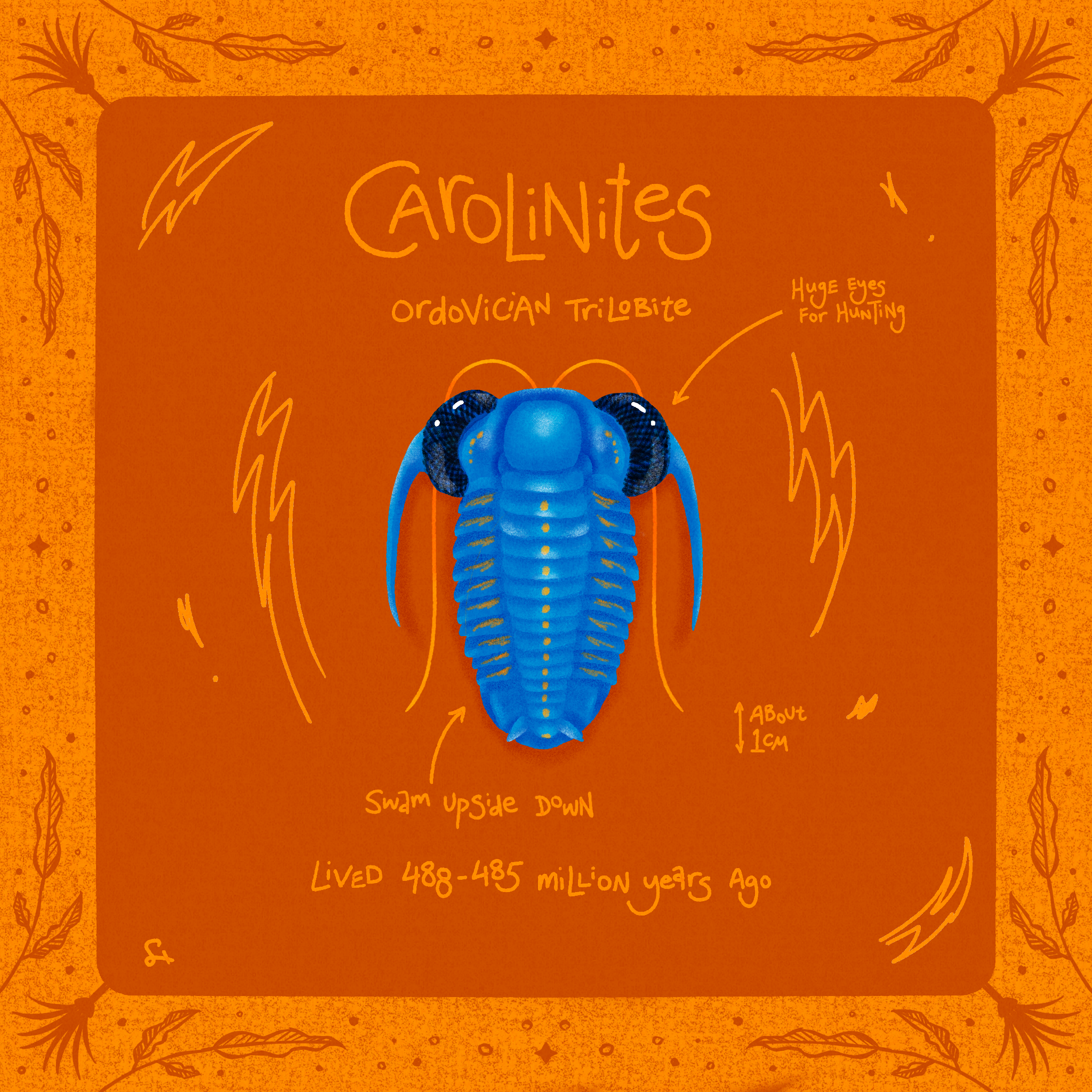 carolinites_sticker.png