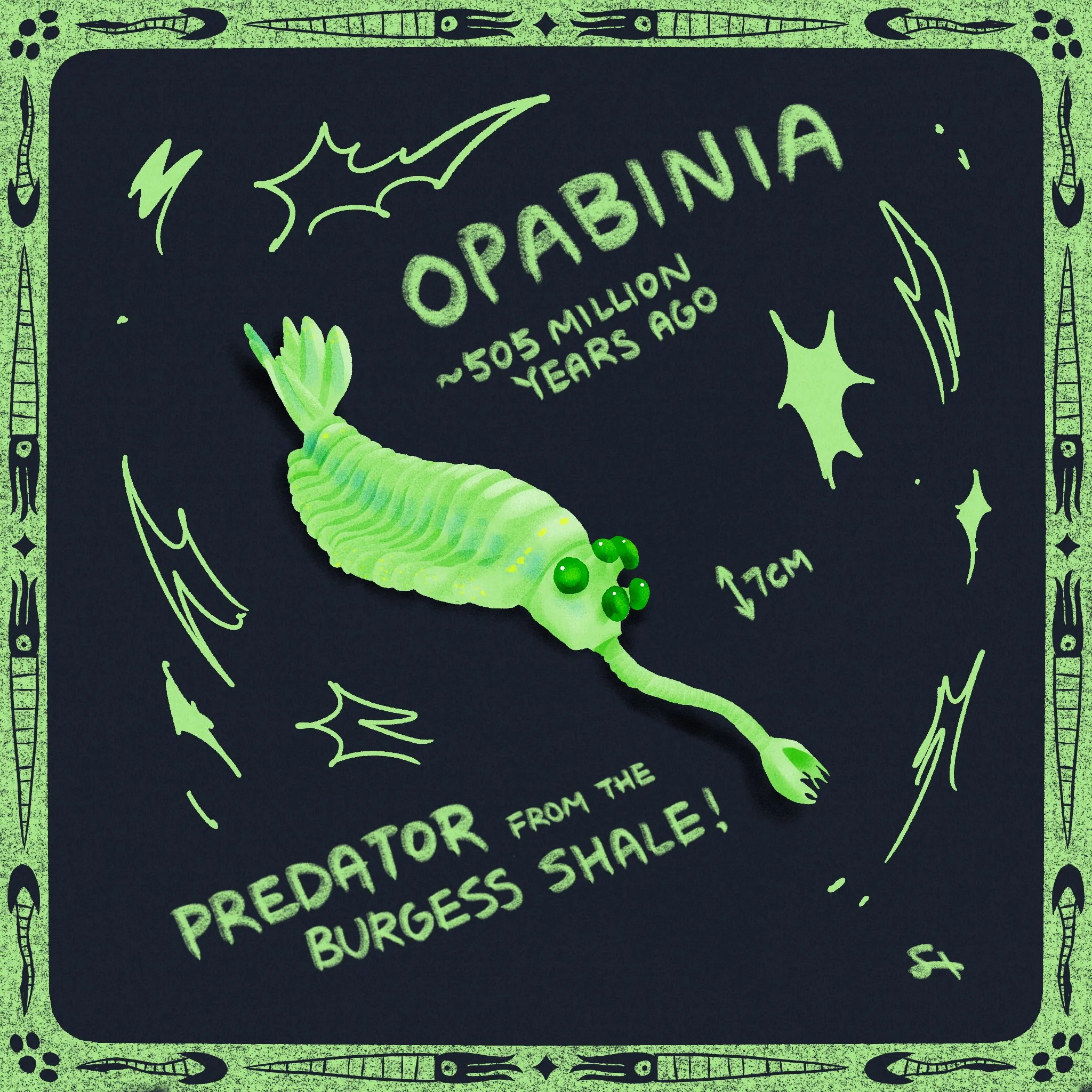 opabinia.jpg