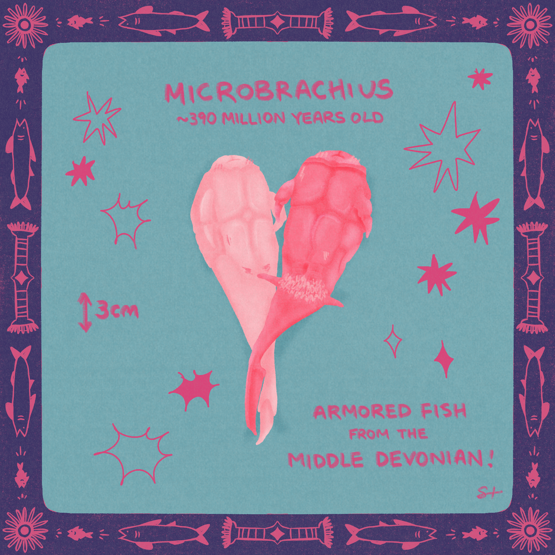 microbrachius.png