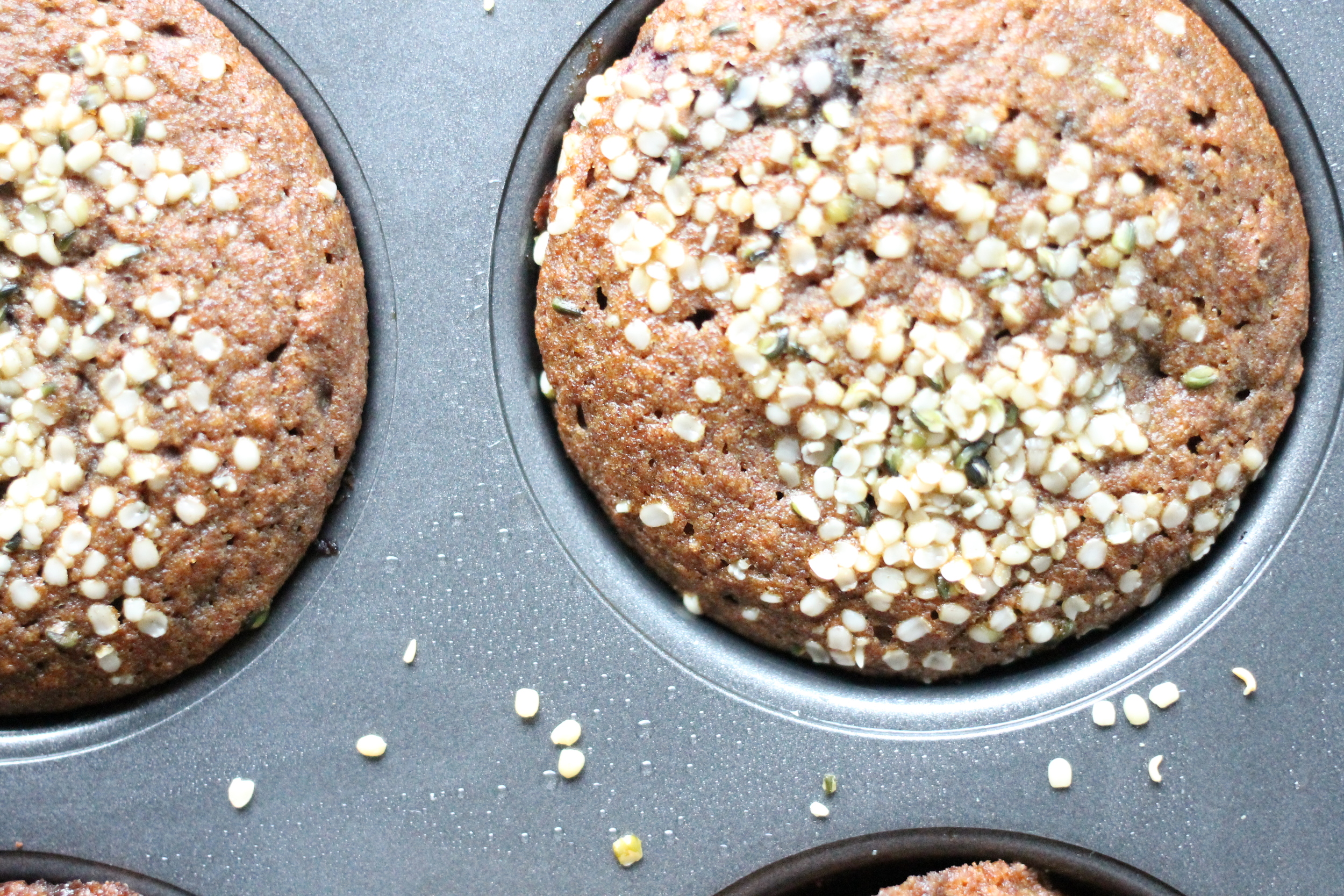 Hemp Seeds Hemp Seeds 