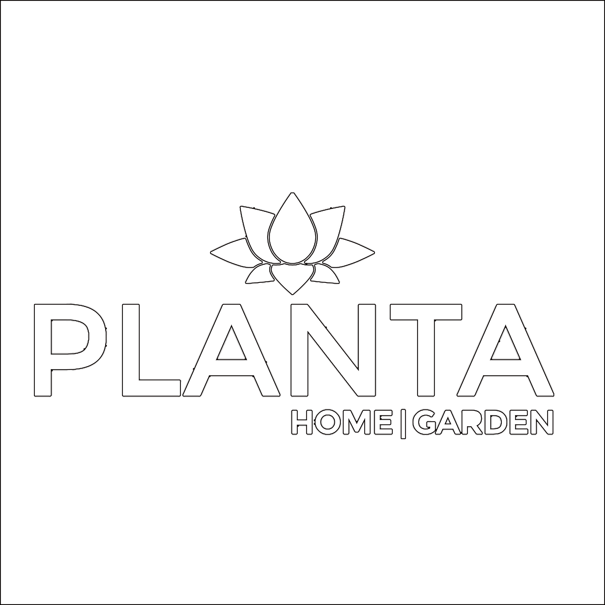 https://www.instagram.com/plantanursery/