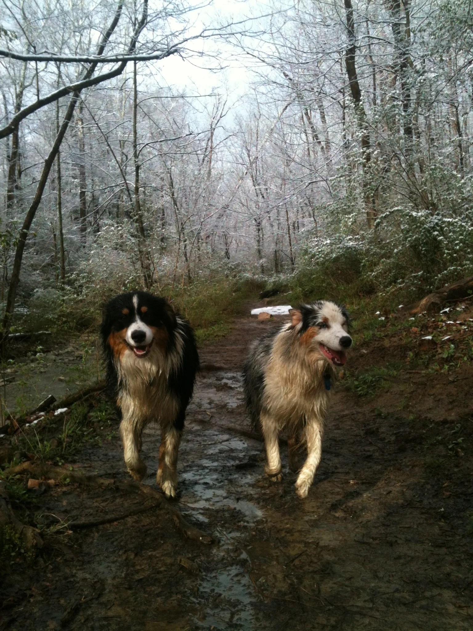 French Park in snow.JPG