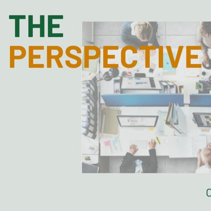 The%2Bperspective%2B%25281%2529.jpg