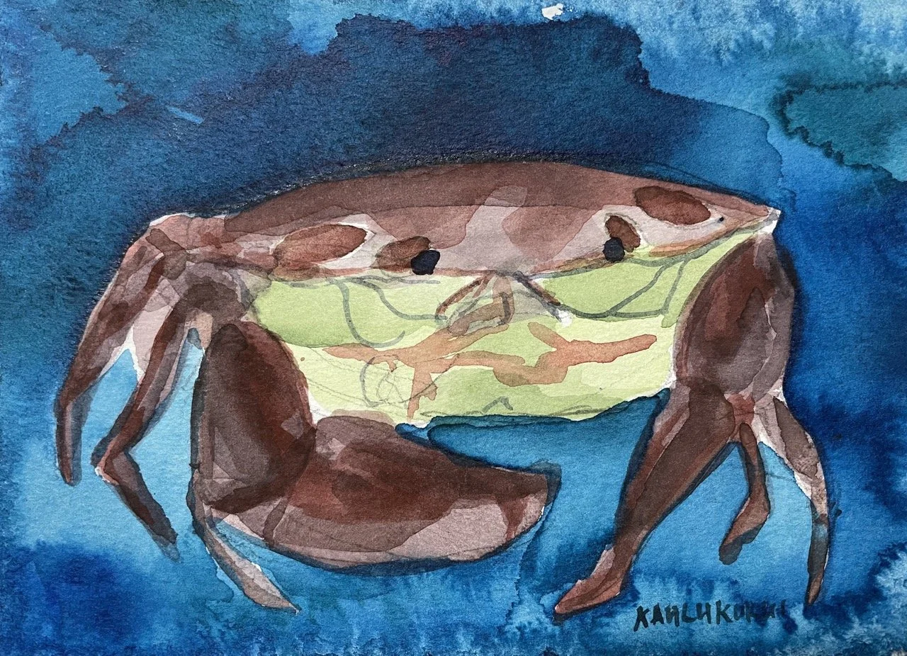 7-11 Crab Study#5 Small.jpeg