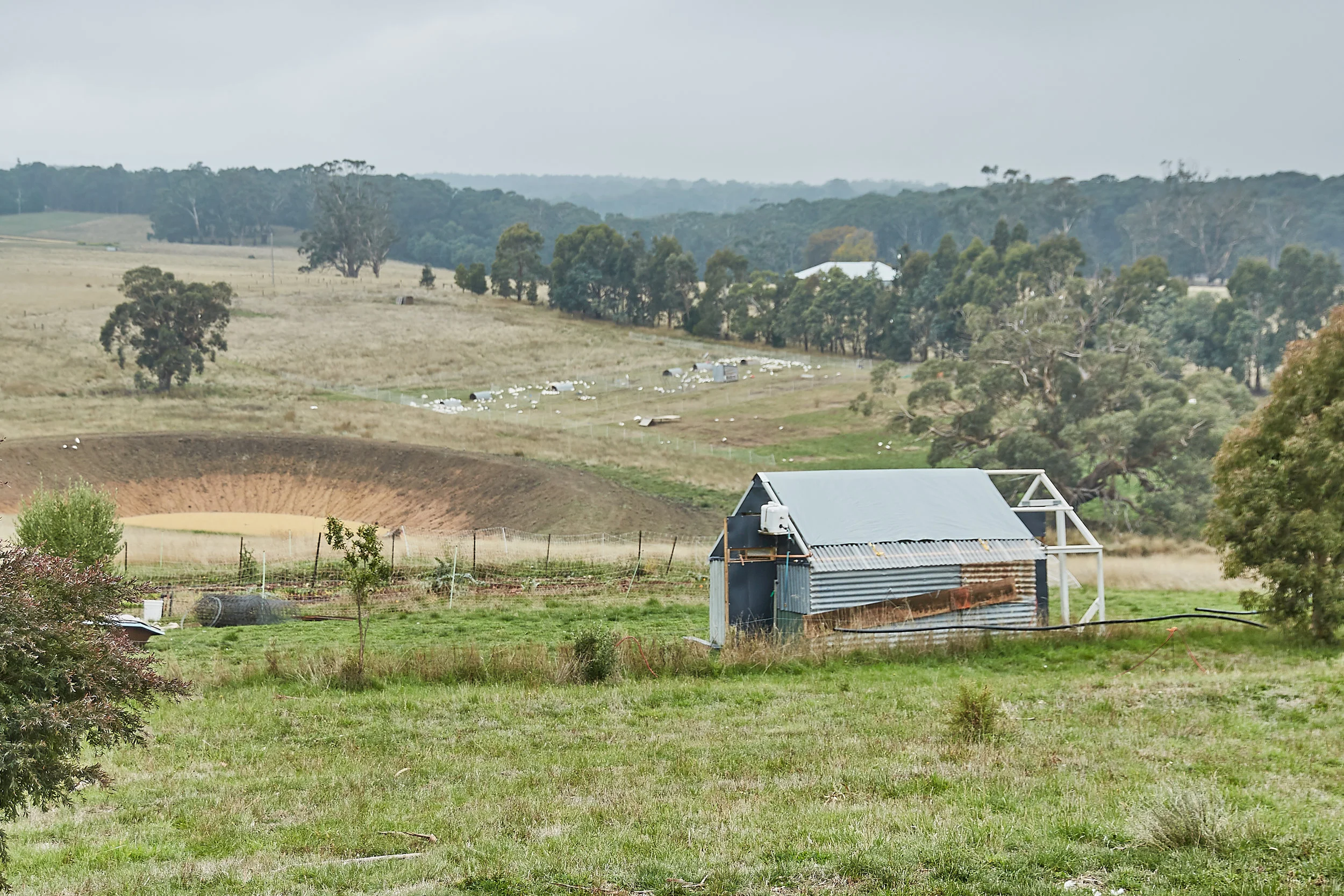 Vue_Du_Volcan_Farm_(www.matthoustonphotography.com)-001.jpg