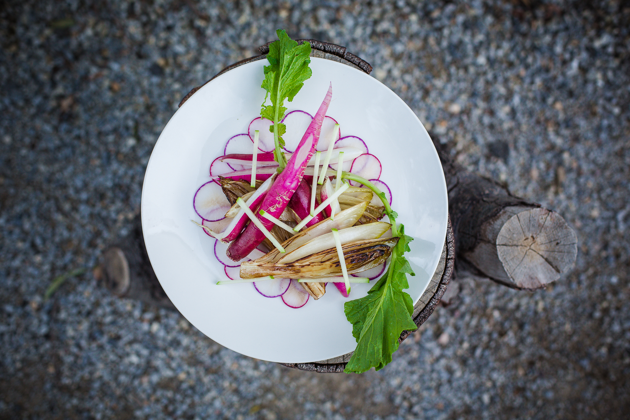 Stories Over Supper_Radish.jpg