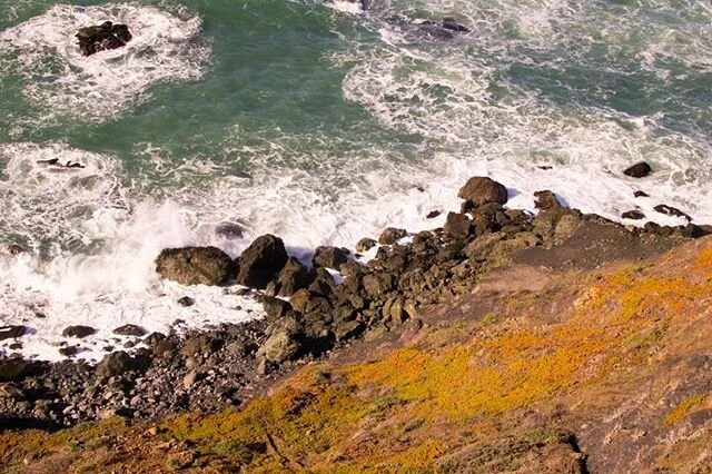 Pacifica
