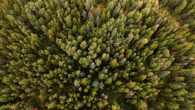 The Sound That Was Never Heard | RS18 Collection Drop 1 Preview (Copy)