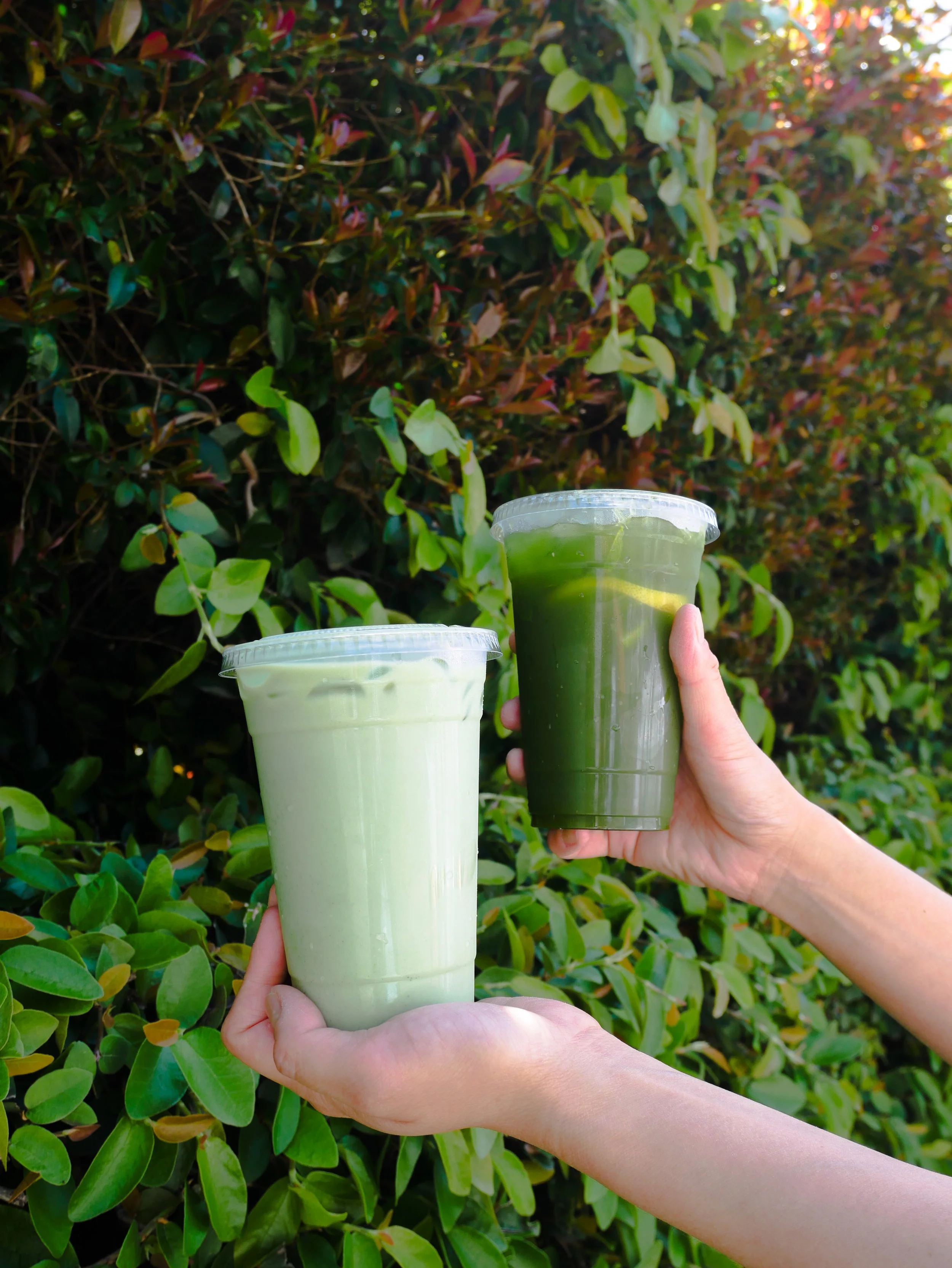 hands holding up matcha drinks