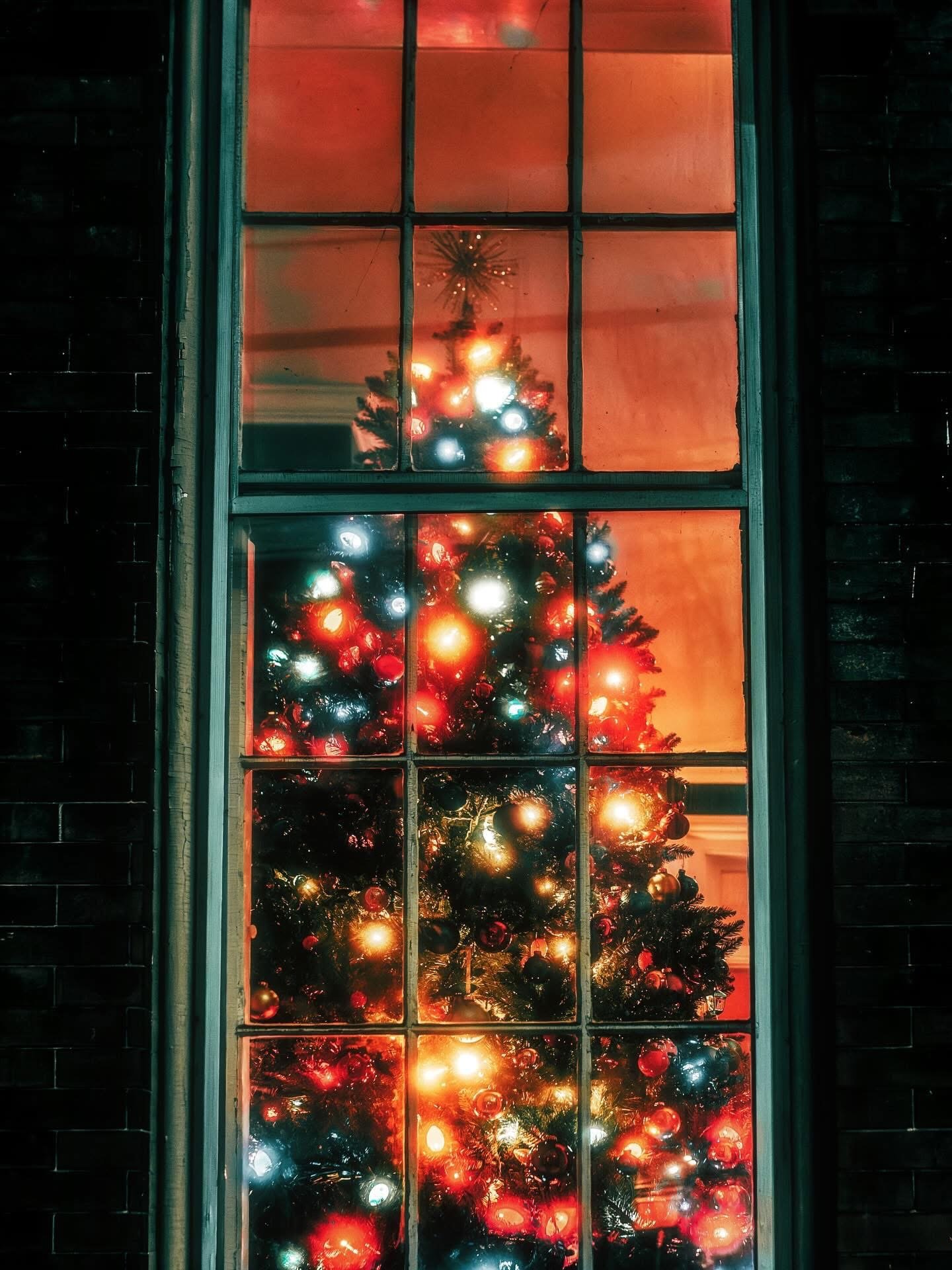 Decorated Christmas tree with red and gold ornaments and lights seen through a window at night.