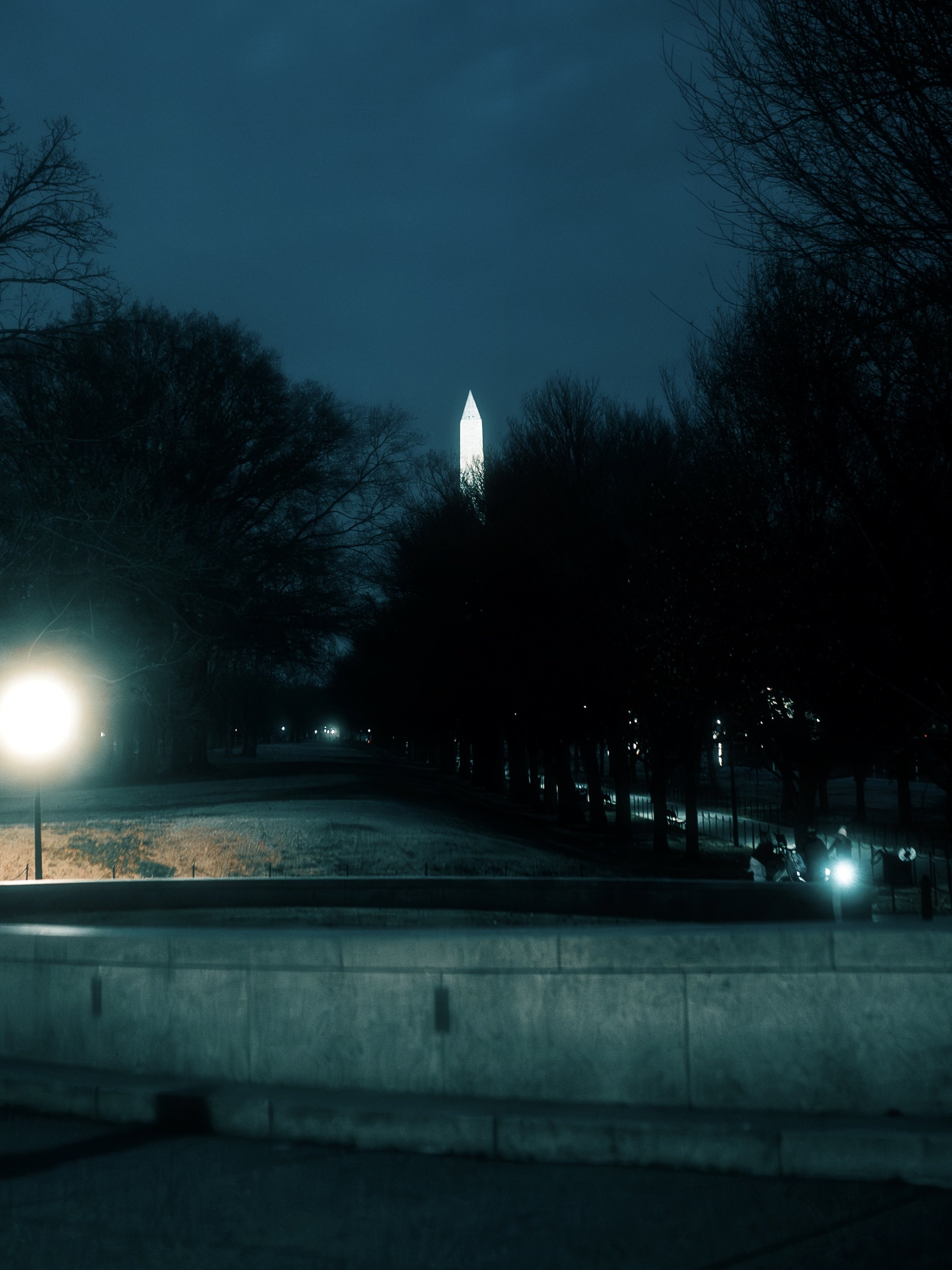 Nighttime scene in Washington, D.C., with the Washington Monument illuminated and visible in the distance, framed by dark trees and lit streetlights in the foreground.