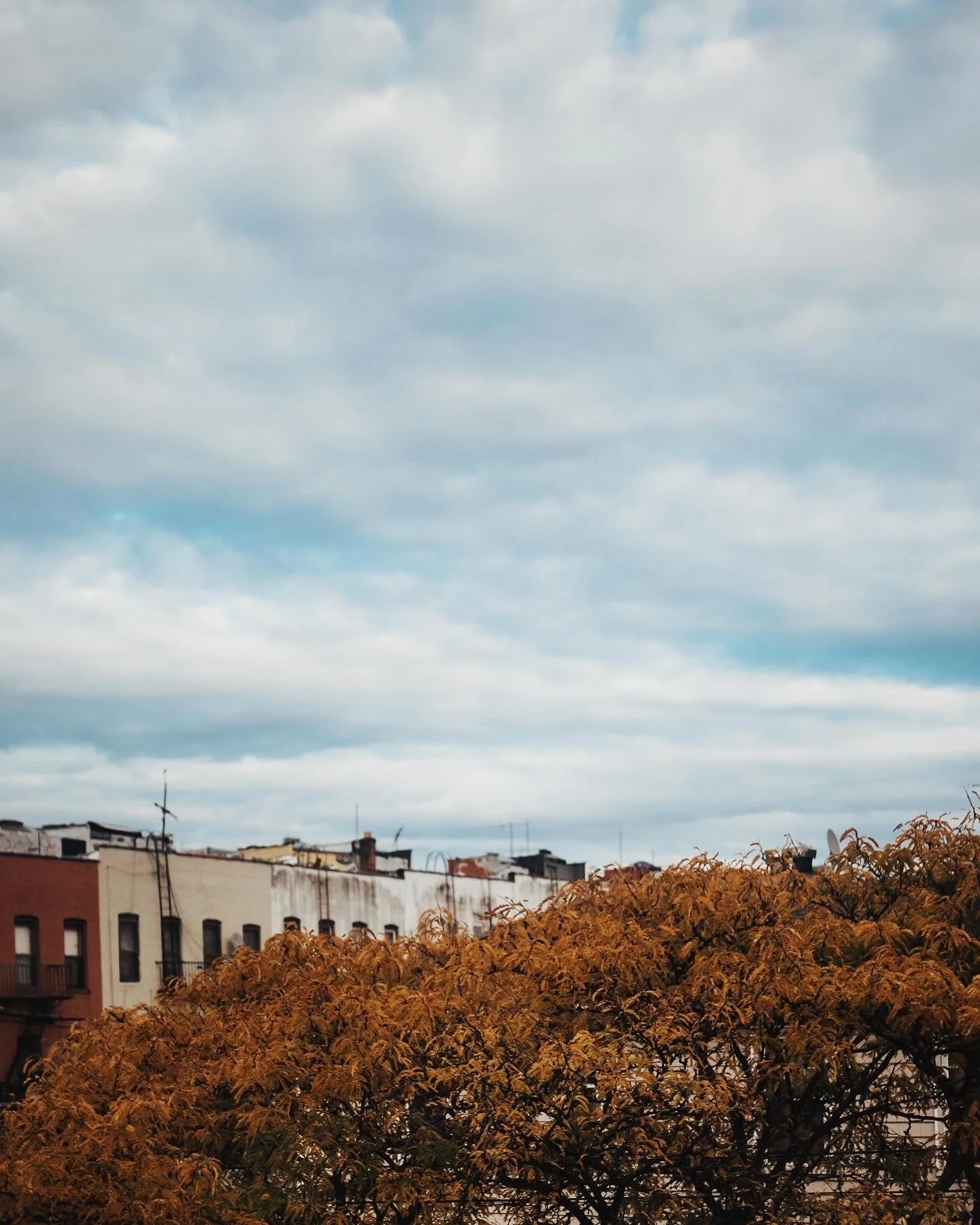 View of apartment buildings with brown and white facades, and a tree with orange leaves in the foreground under a cloudy sky.
