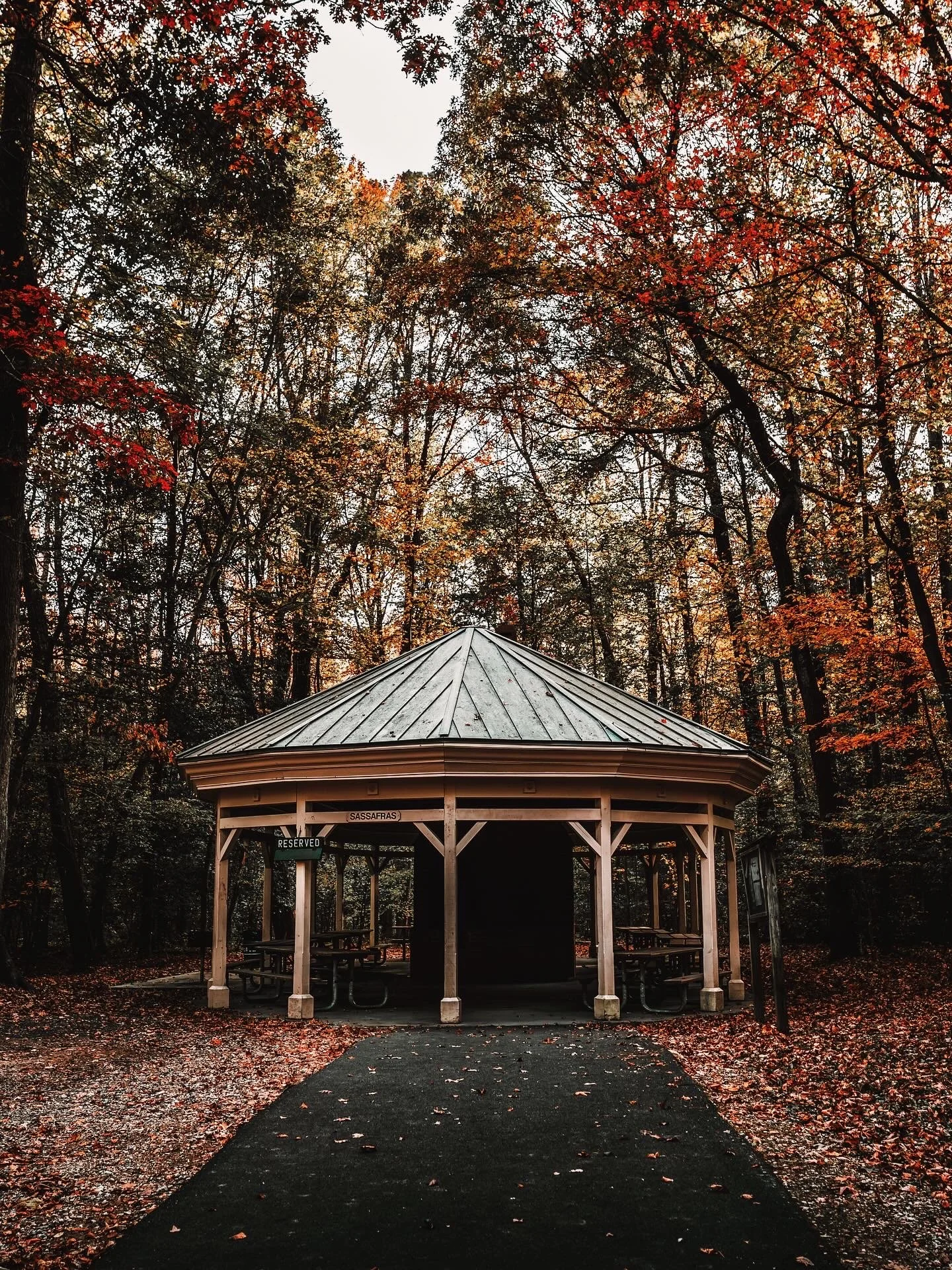 A wooden pavilion in a forested area with autumn-colored leaves on the trees and leaves scattered on the ground. The pavilion has benches and a sign that reads 'Reserved' and 'Sassafras'.