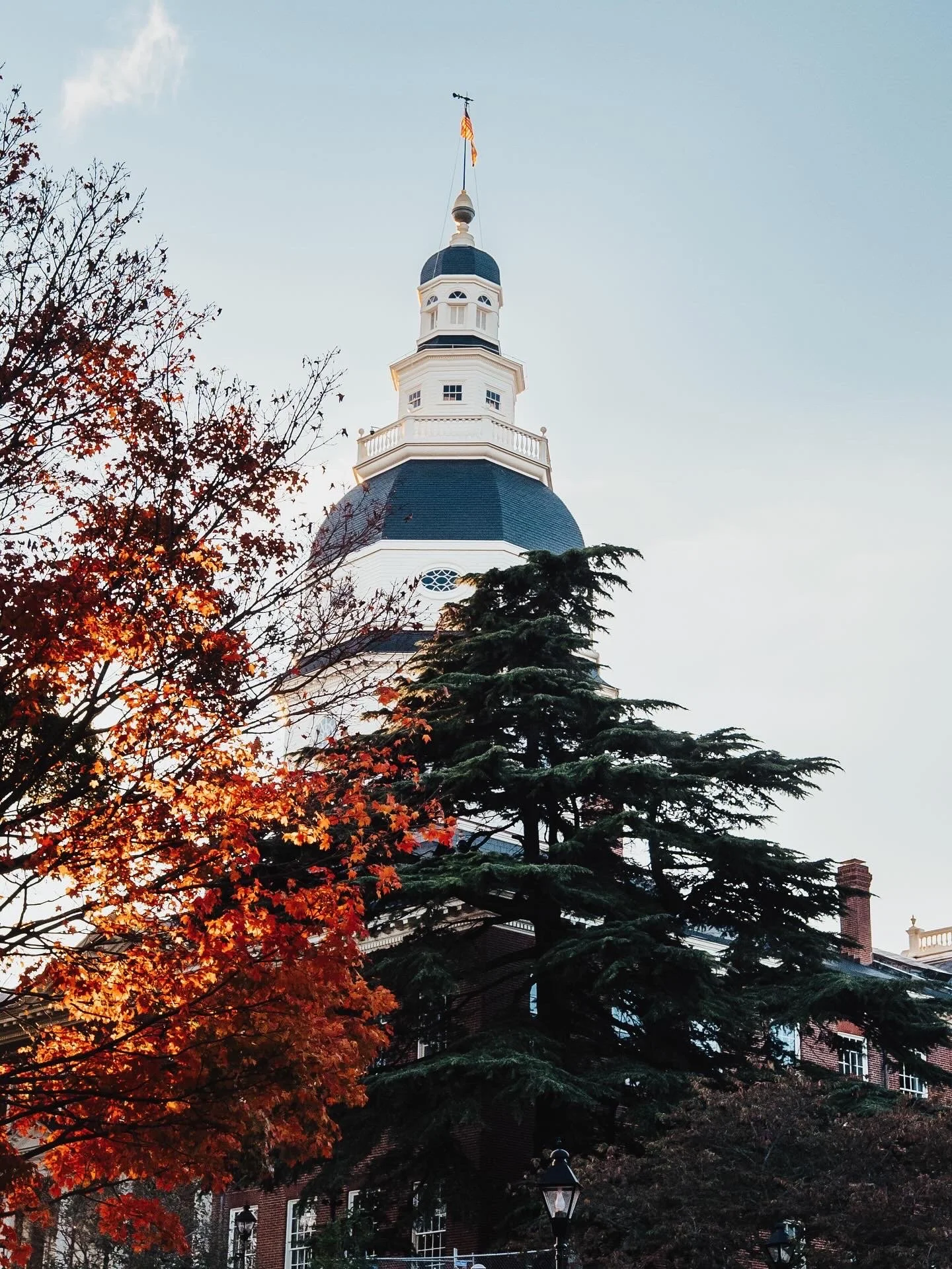 A clock tower with a black dome and white structure, partially obscured by trees with autumn leaves, under a clear sky.
