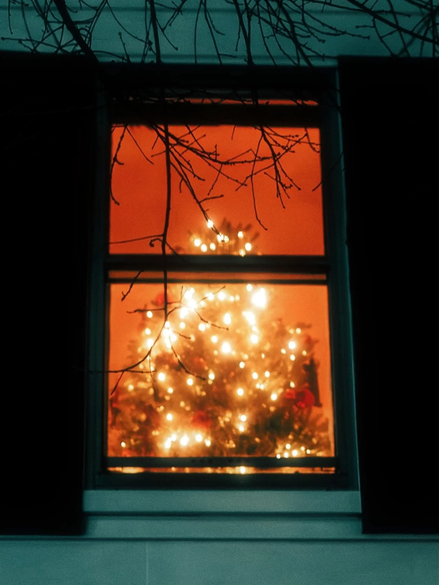 A decorated Christmas tree with lights outside a window at night, seen through the window pane.
