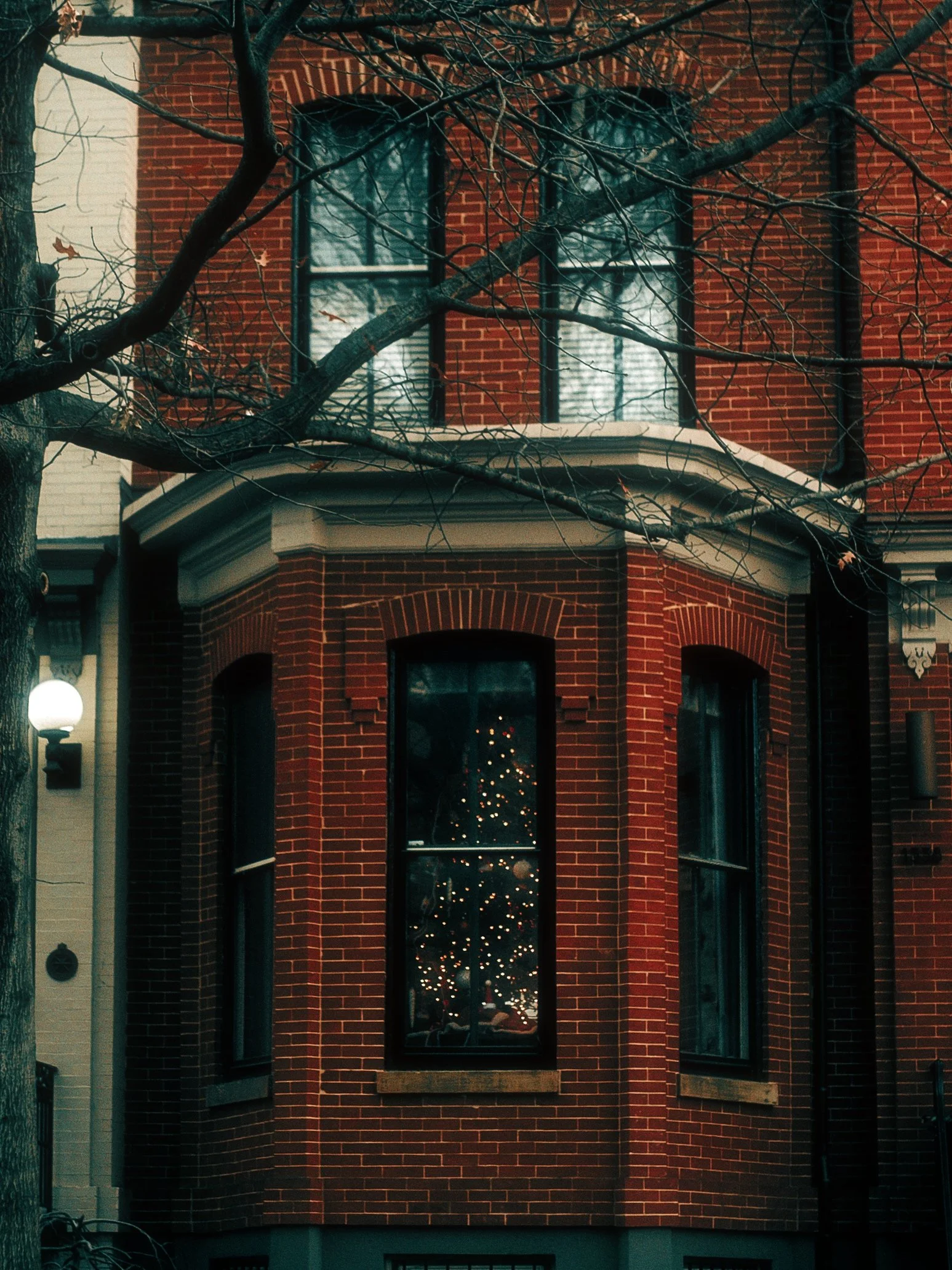 A red-brick townhouse with large windows, a reflecting Christmas tree inside, and a tree with bare branches in the foreground.