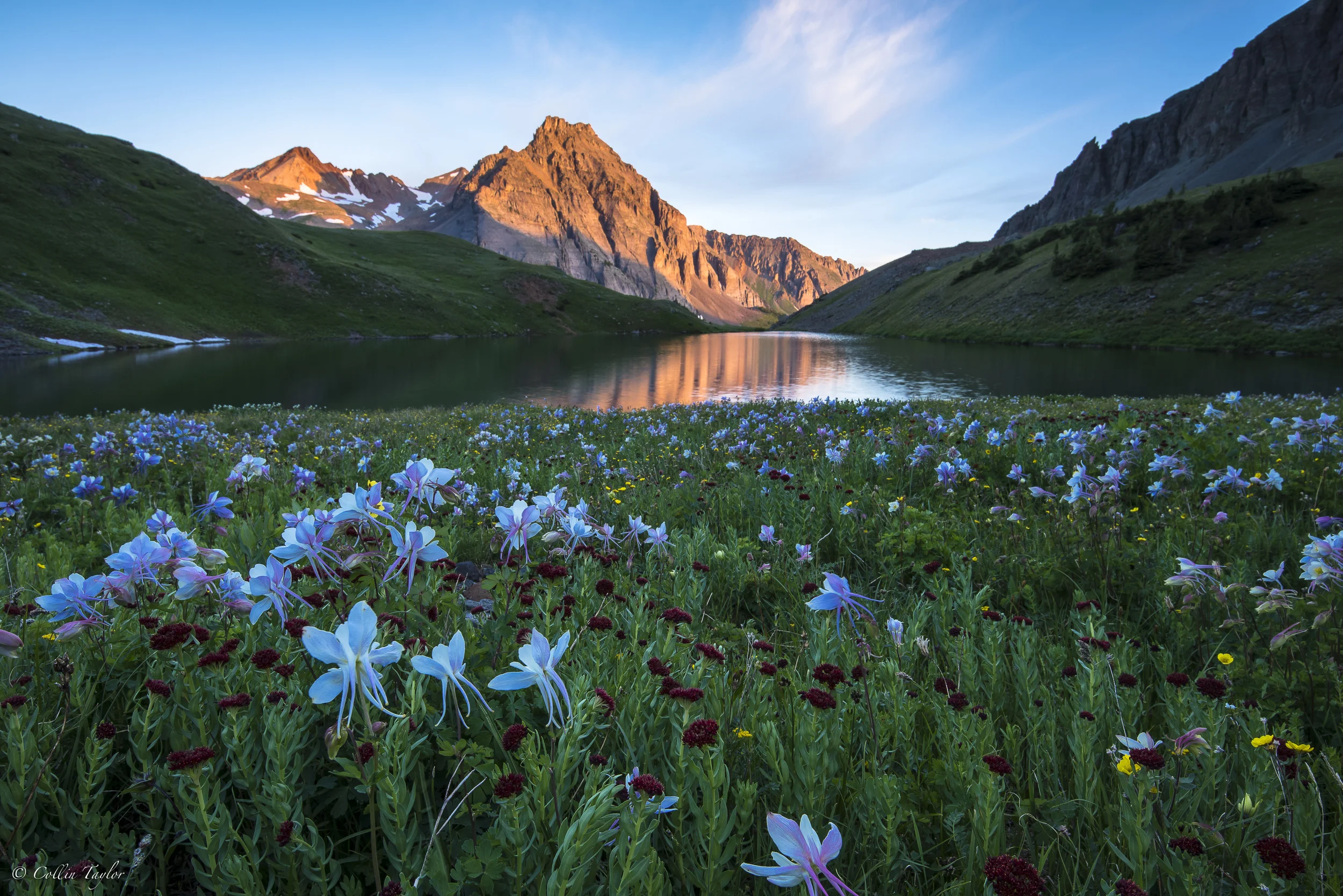 Columbine sunrise below Mt Sneffels - San juans, CO
