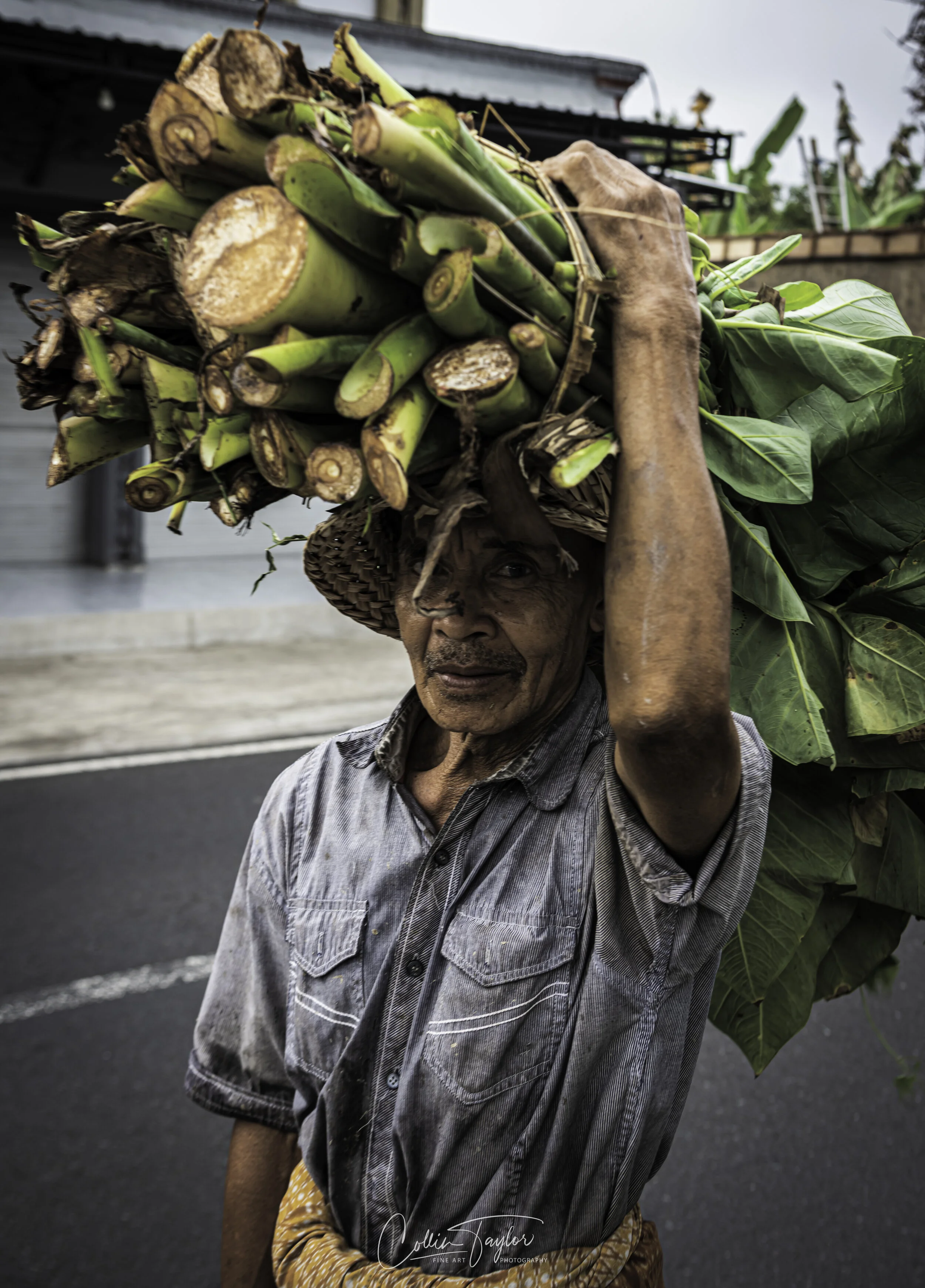 Balinese farmer in the countryside of Ubud - Bali, Indonesia