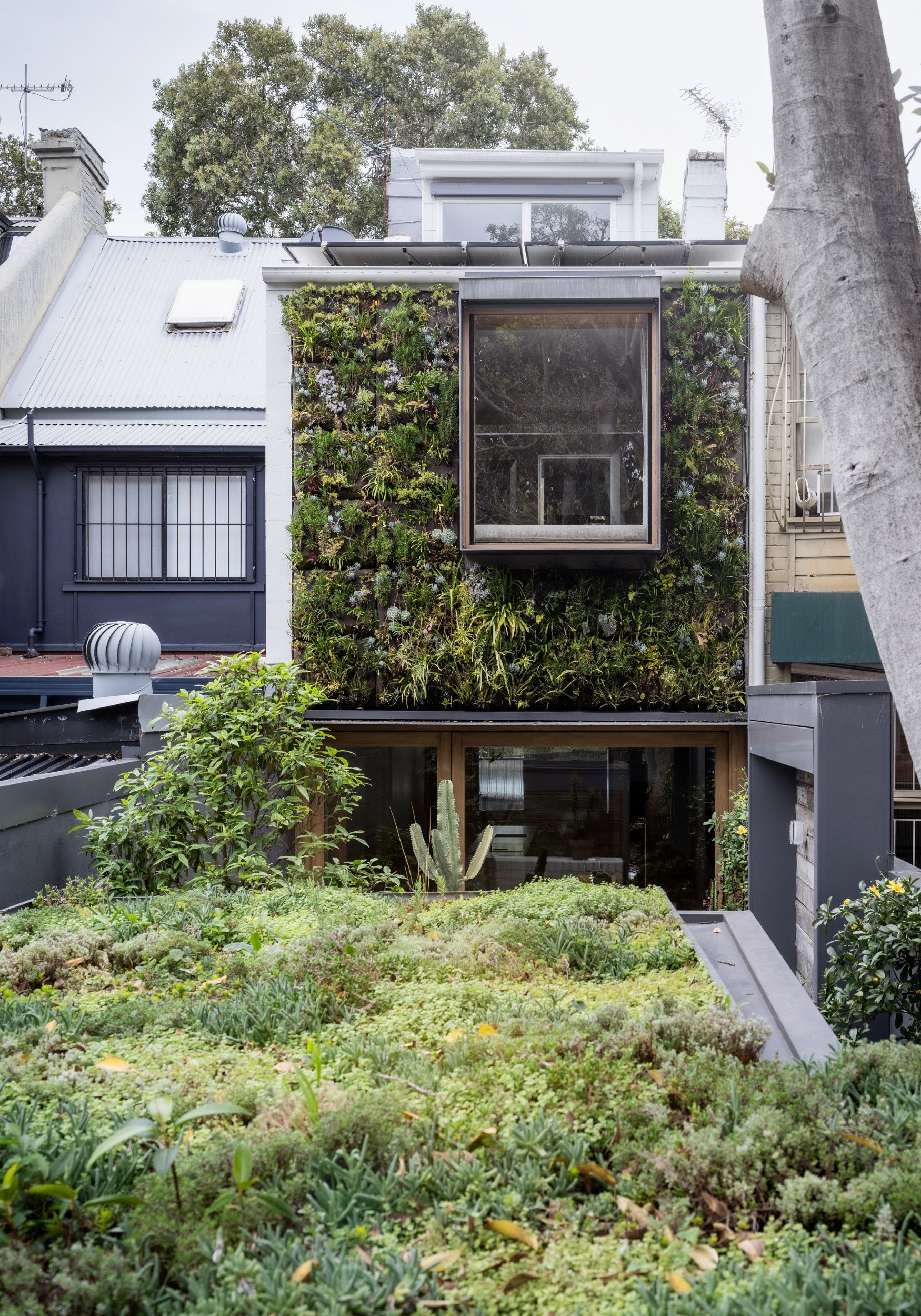 nick-bell-architects-surry-hills-pink-house-green-wall-green-roof.png