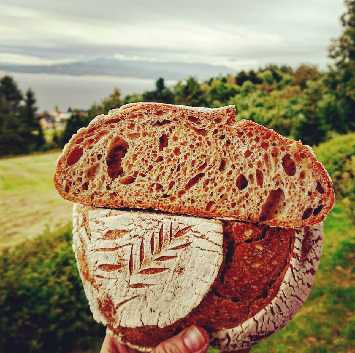 Fra korn til brød: Lær å bake med surdeig med Ida Albertsen