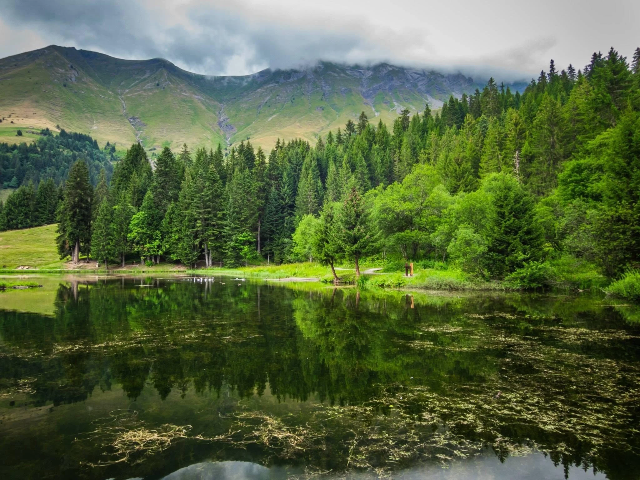 Mindfulness Retreat i naturen med Irma Jonsson
