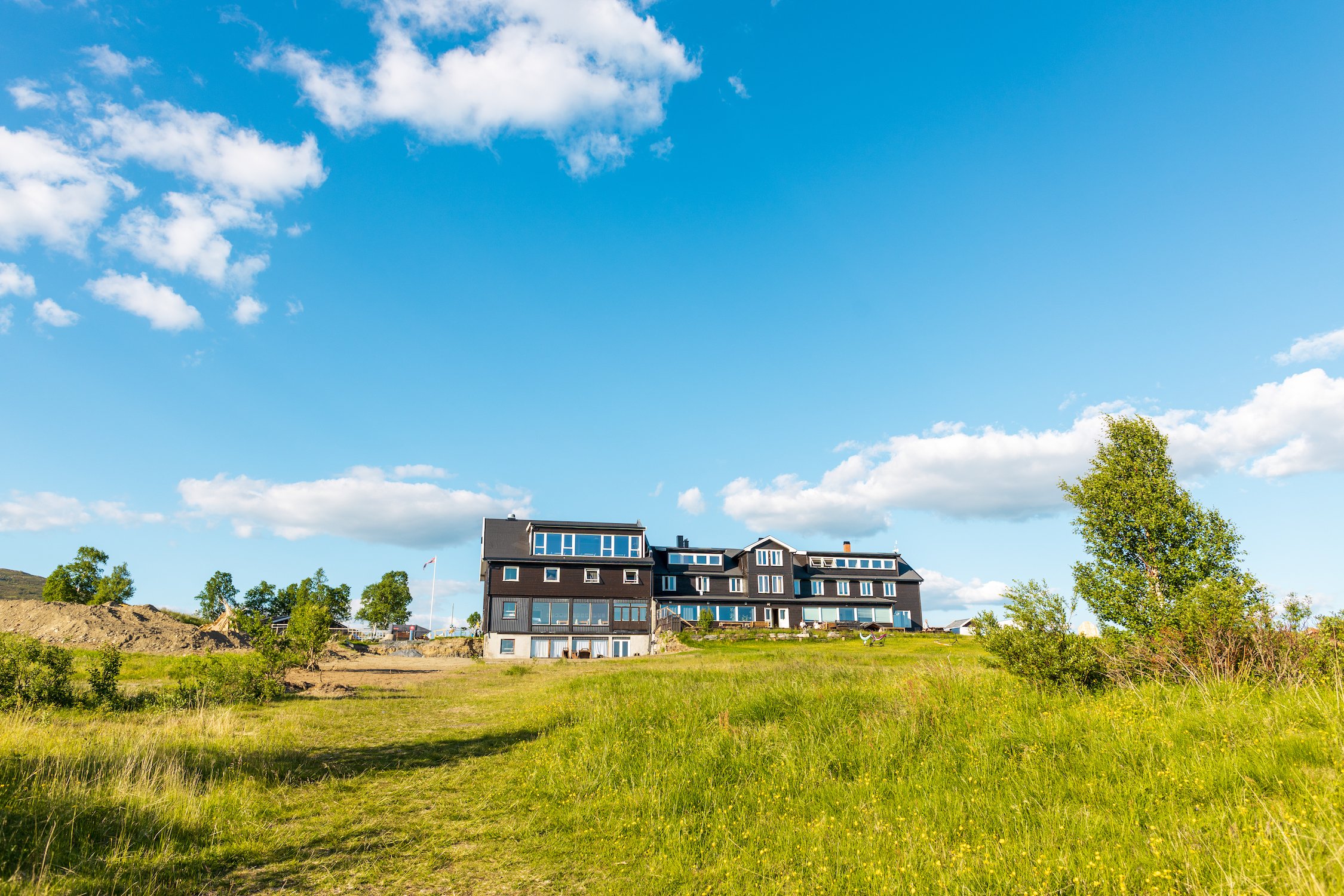 Nøsen nytt sommer grønt gress.jpg