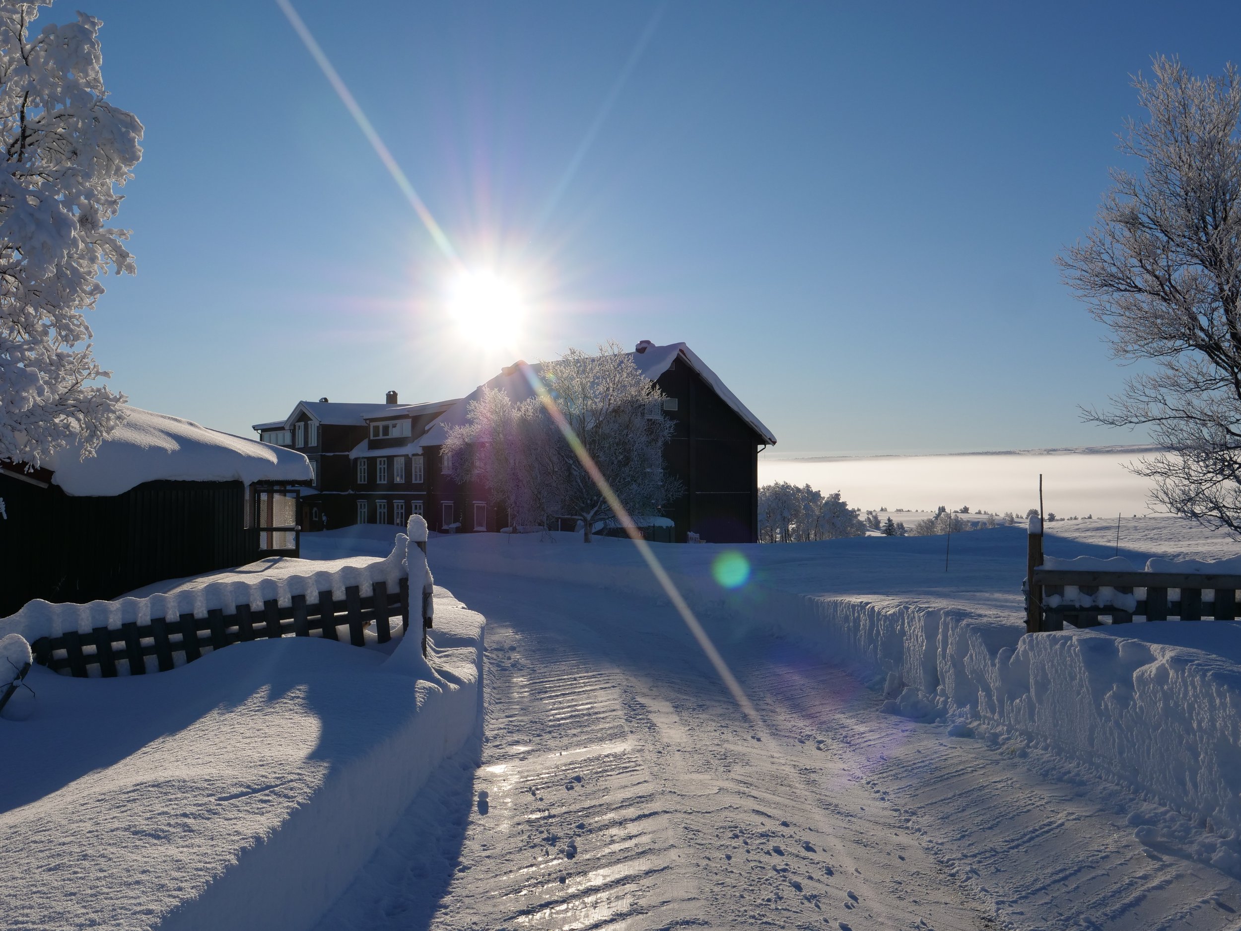 Nøsen vinter.JPG