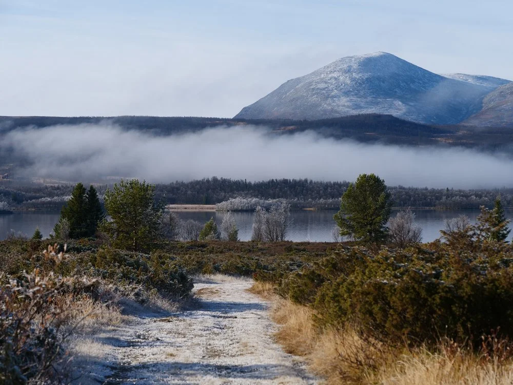 Skogshorn,+sti+fra+Nøsen,+høst.jpeg