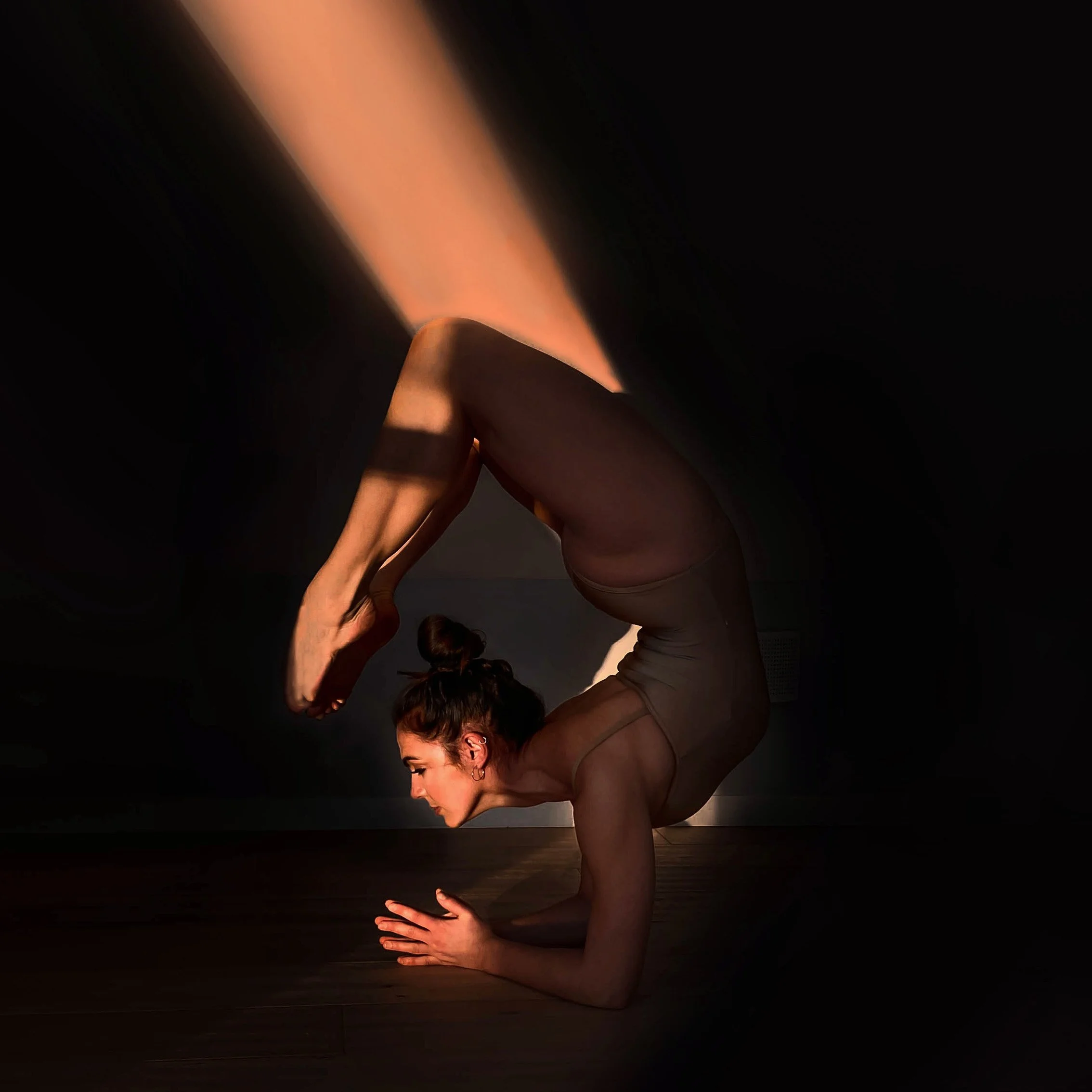 Fluid Flexibility Immersions Weekend with Francesca Golfetto