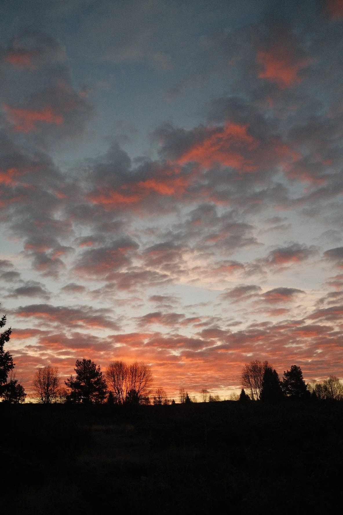 DSCF9425 2.JPG