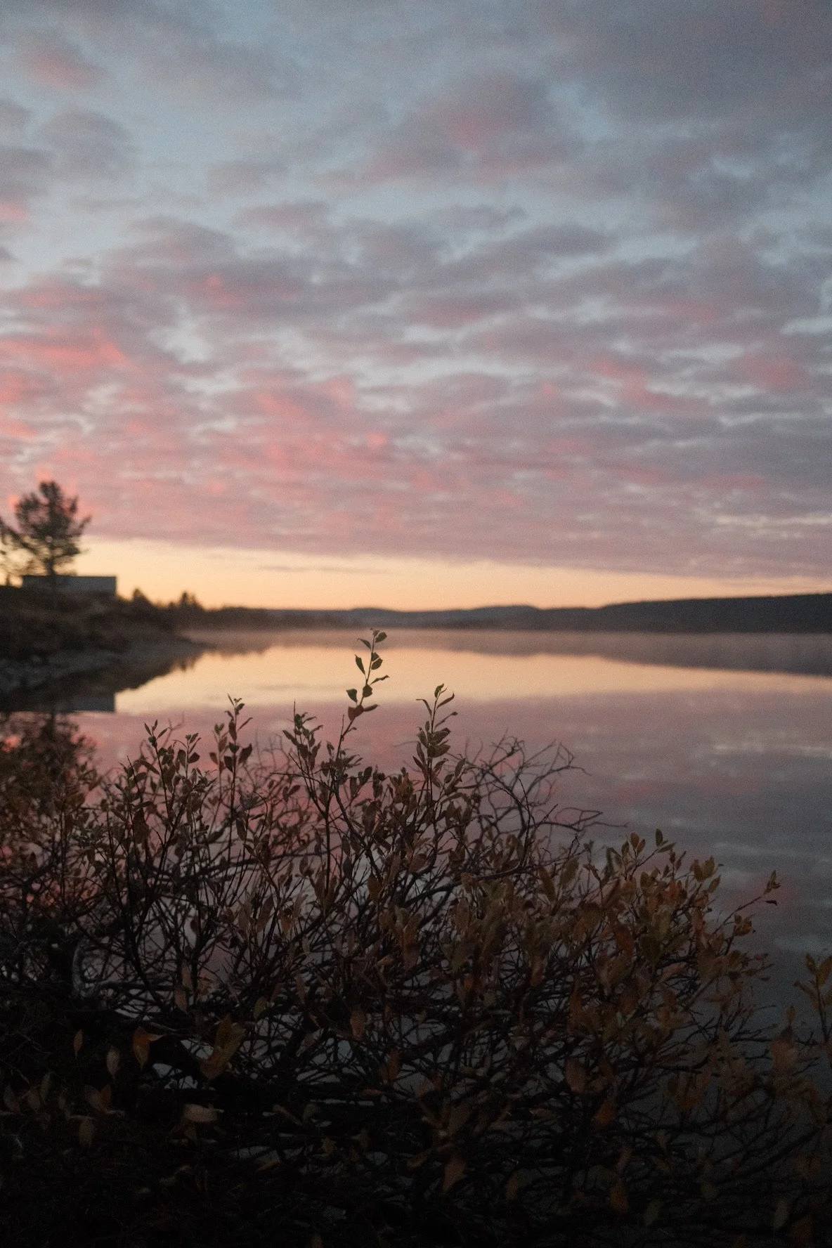 DSCF9415 2.JPG