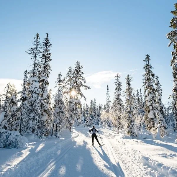 The Best Cross-Country Skis of 2025.jpeg