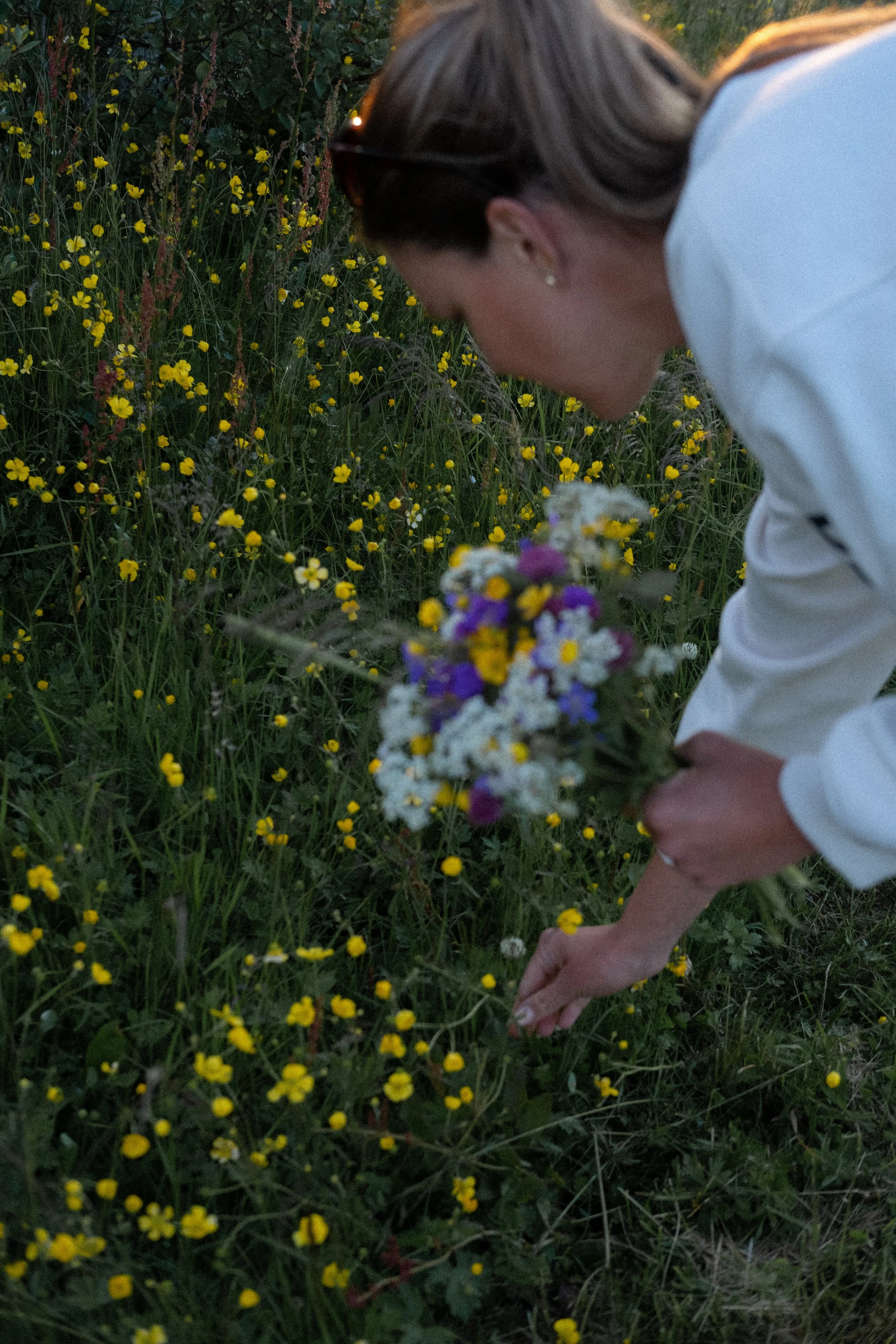 _DSF0277.jpg