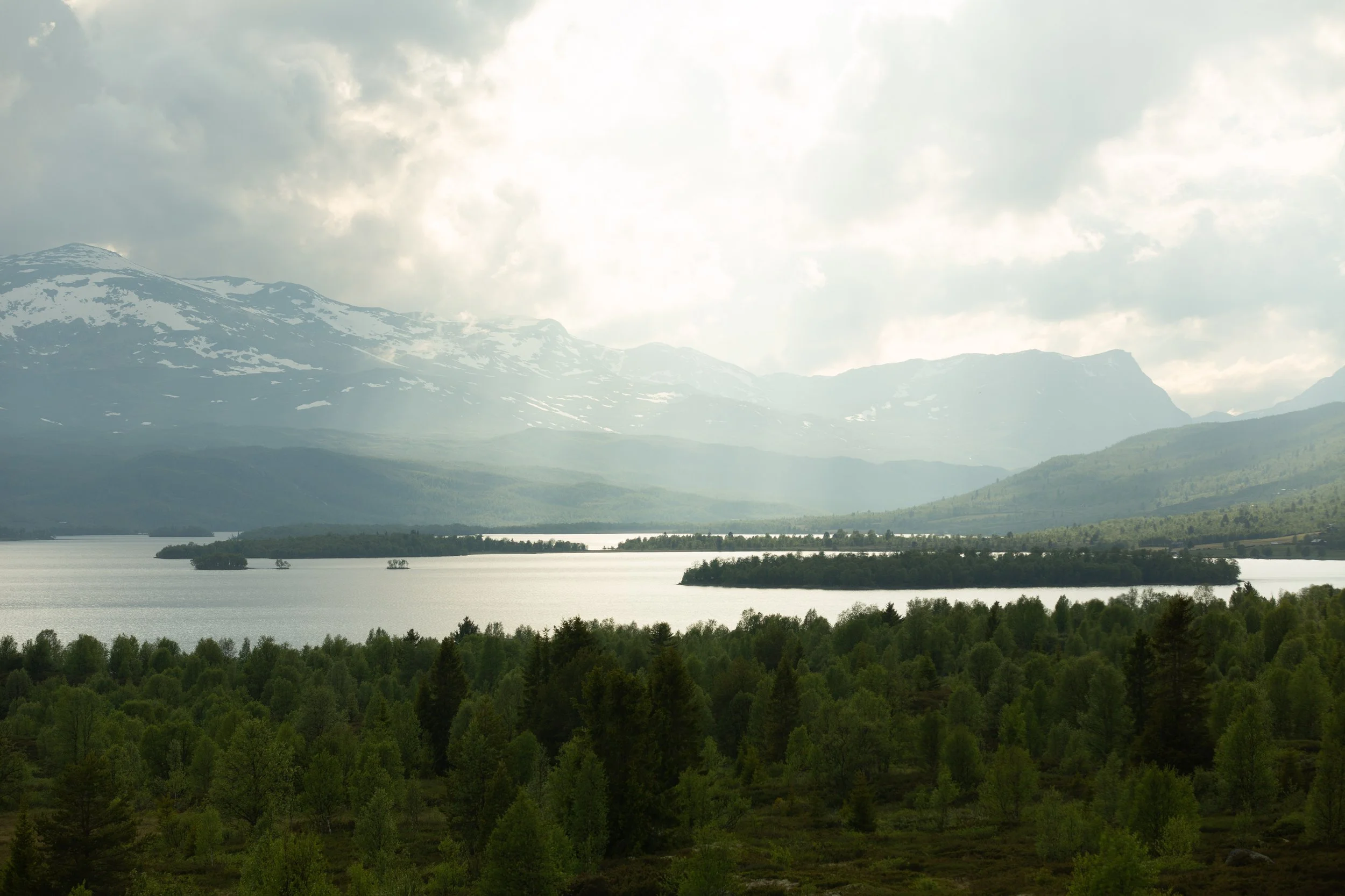 Nøsen_202.jpg (Copy)