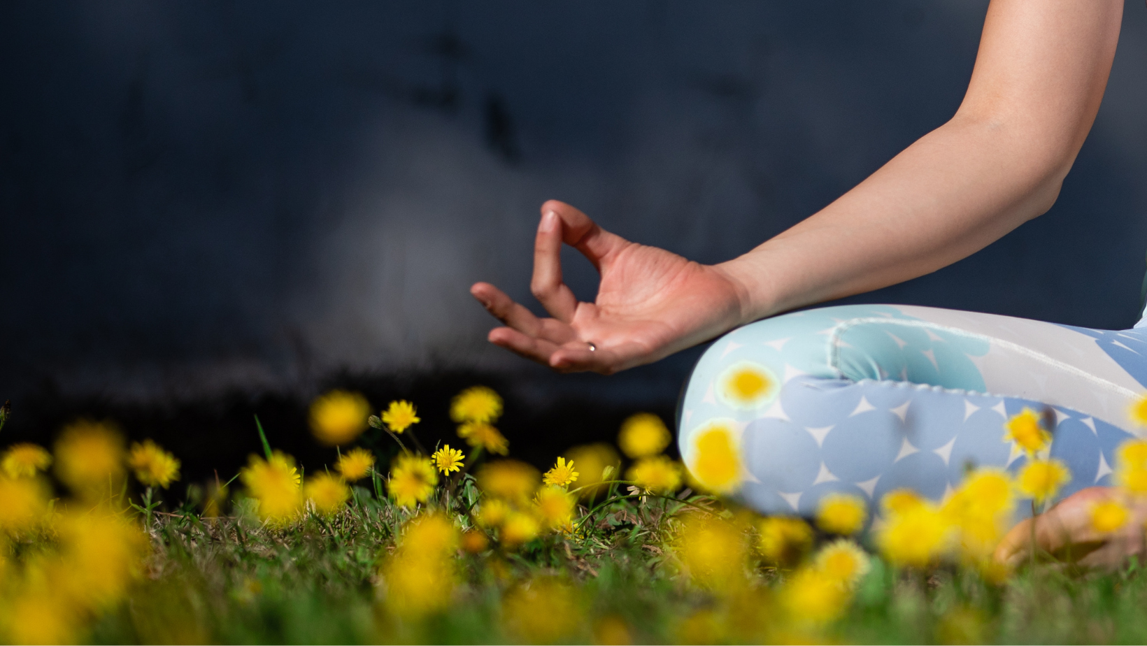 The Art of Expression Weekend Retreat with Ronit and Elina 