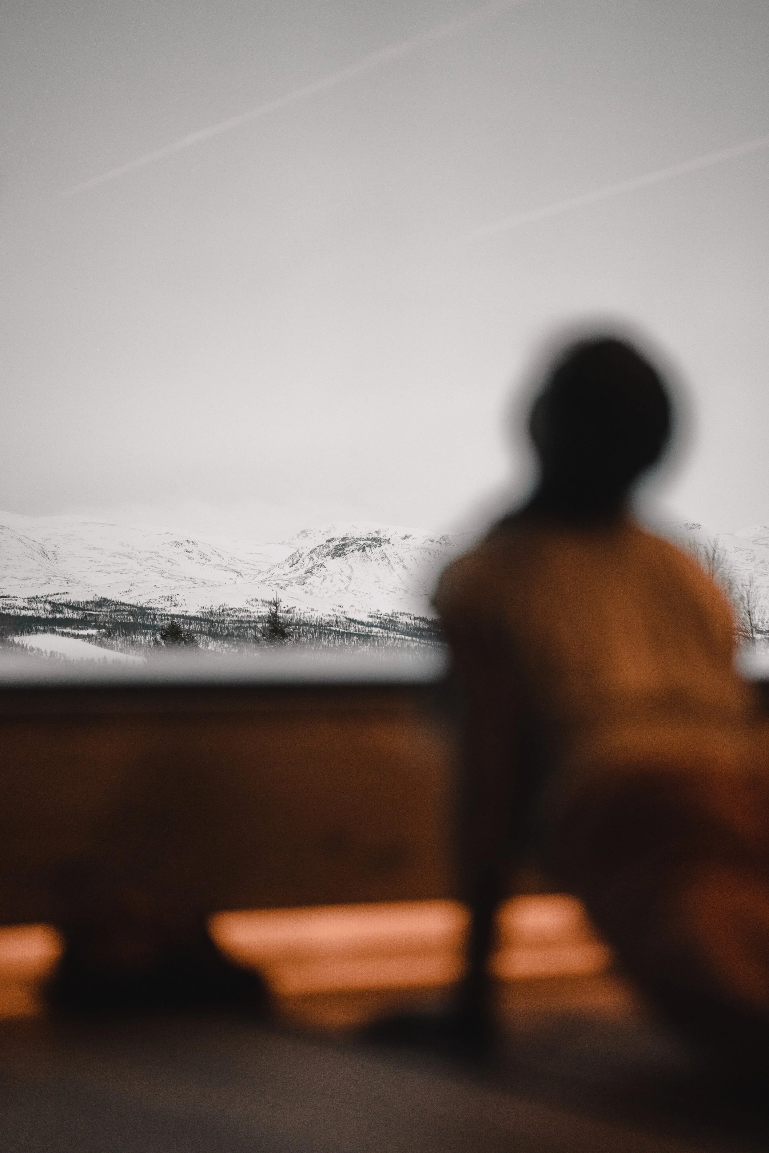 sun-salutation-new-year-nosen-03185.jpg (Copy)