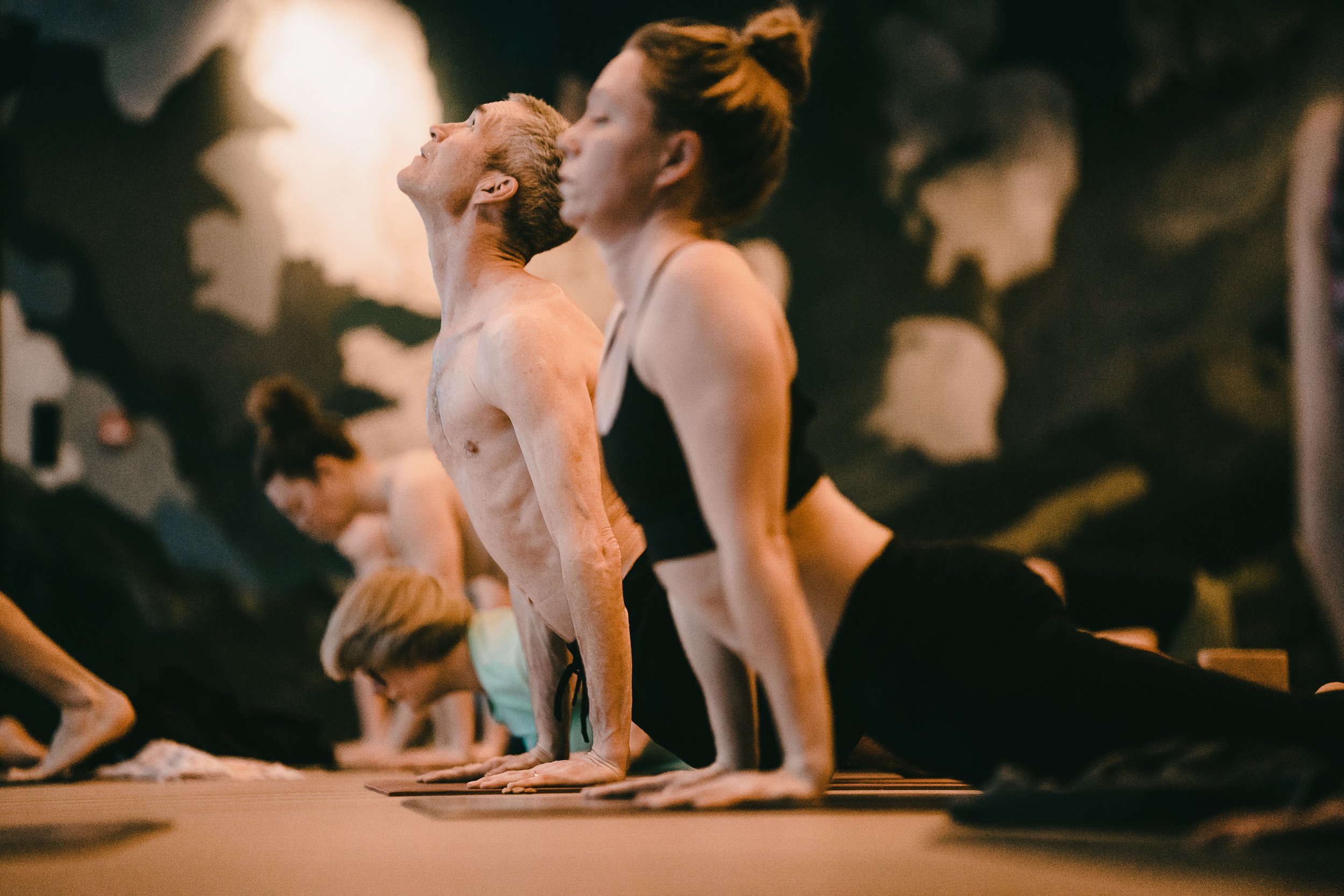 sun-salutation-new-year-nosen-03171.jpg (Copy)