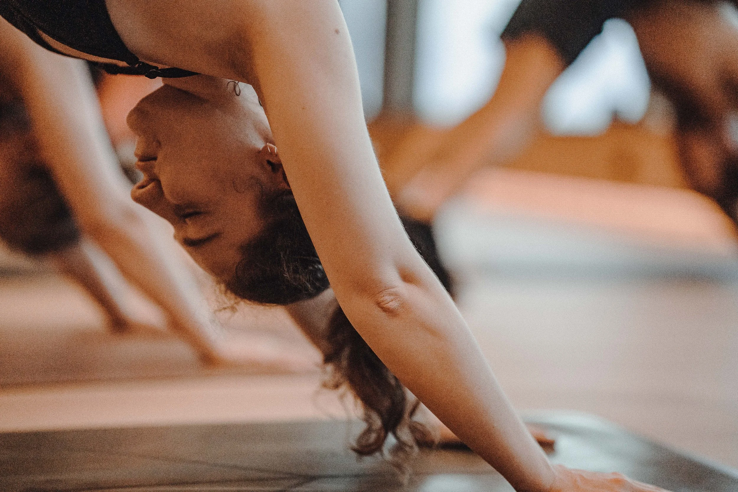 sun-salutation-new-year-nosen-03206.jpg (Copy)