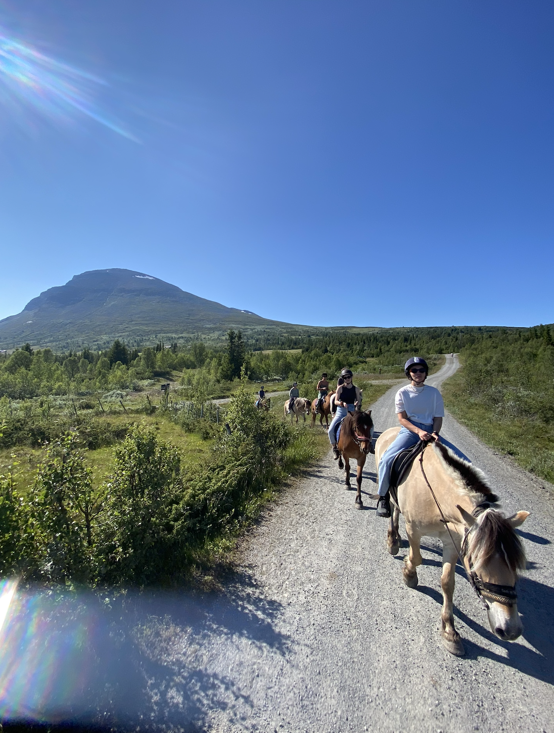 Screenshot 2026-01-28 at 10.15.24.png