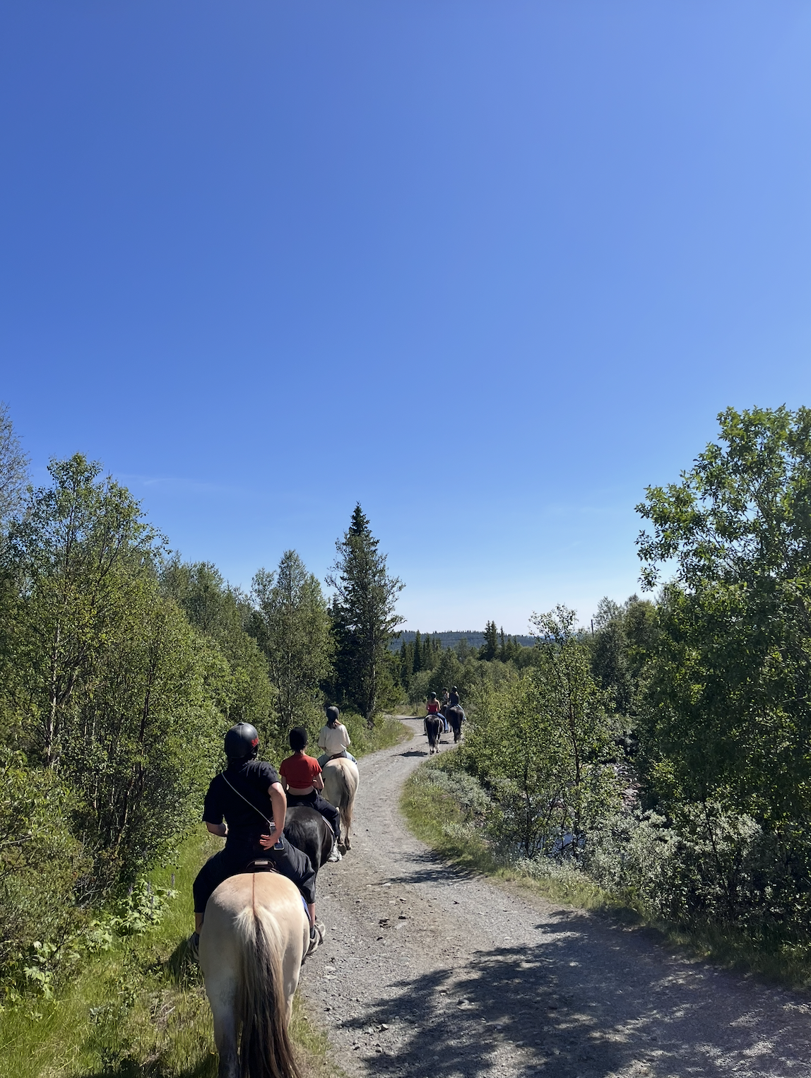 Screenshot 2026-01-28 at 10.15.31.png