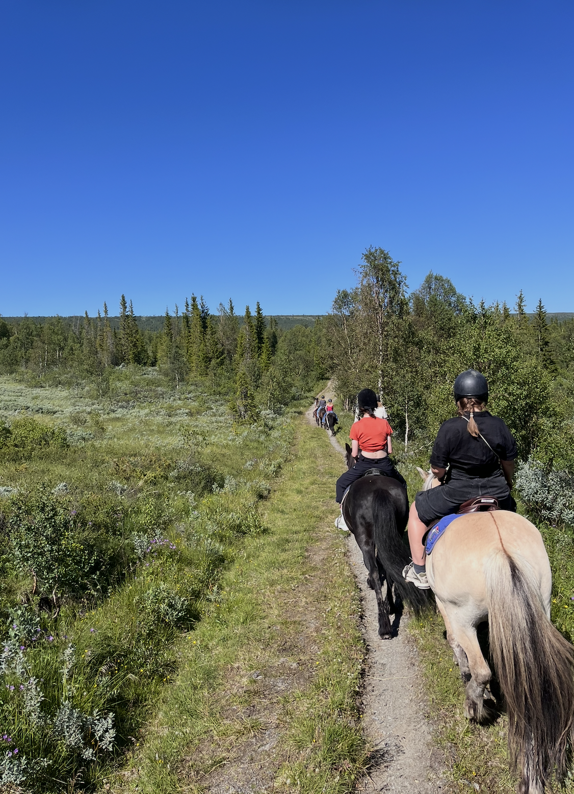 Screenshot 2026-01-28 at 10.15.43.png