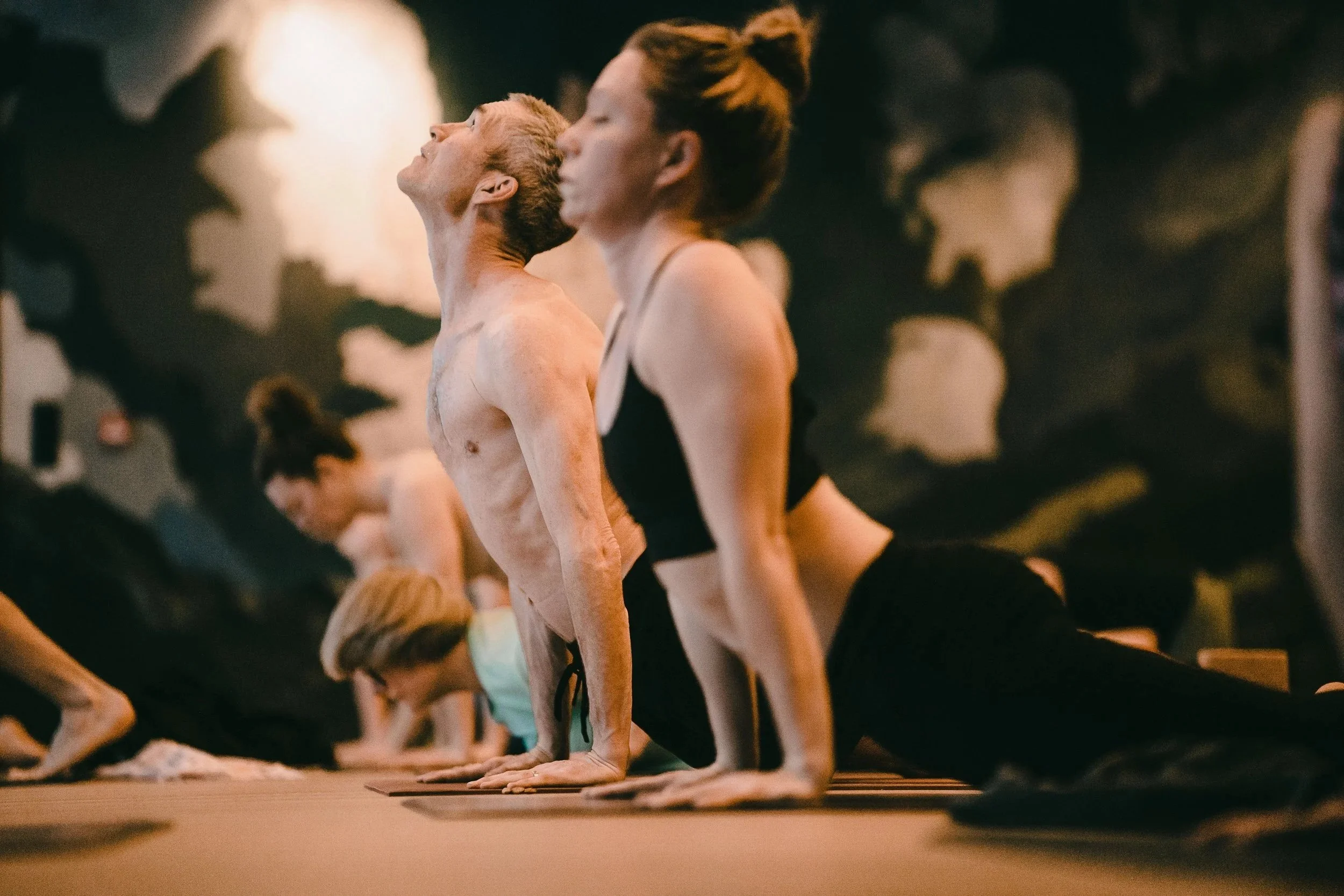 sun-salutation-new-year-nosen-03171.jpg (Copy)