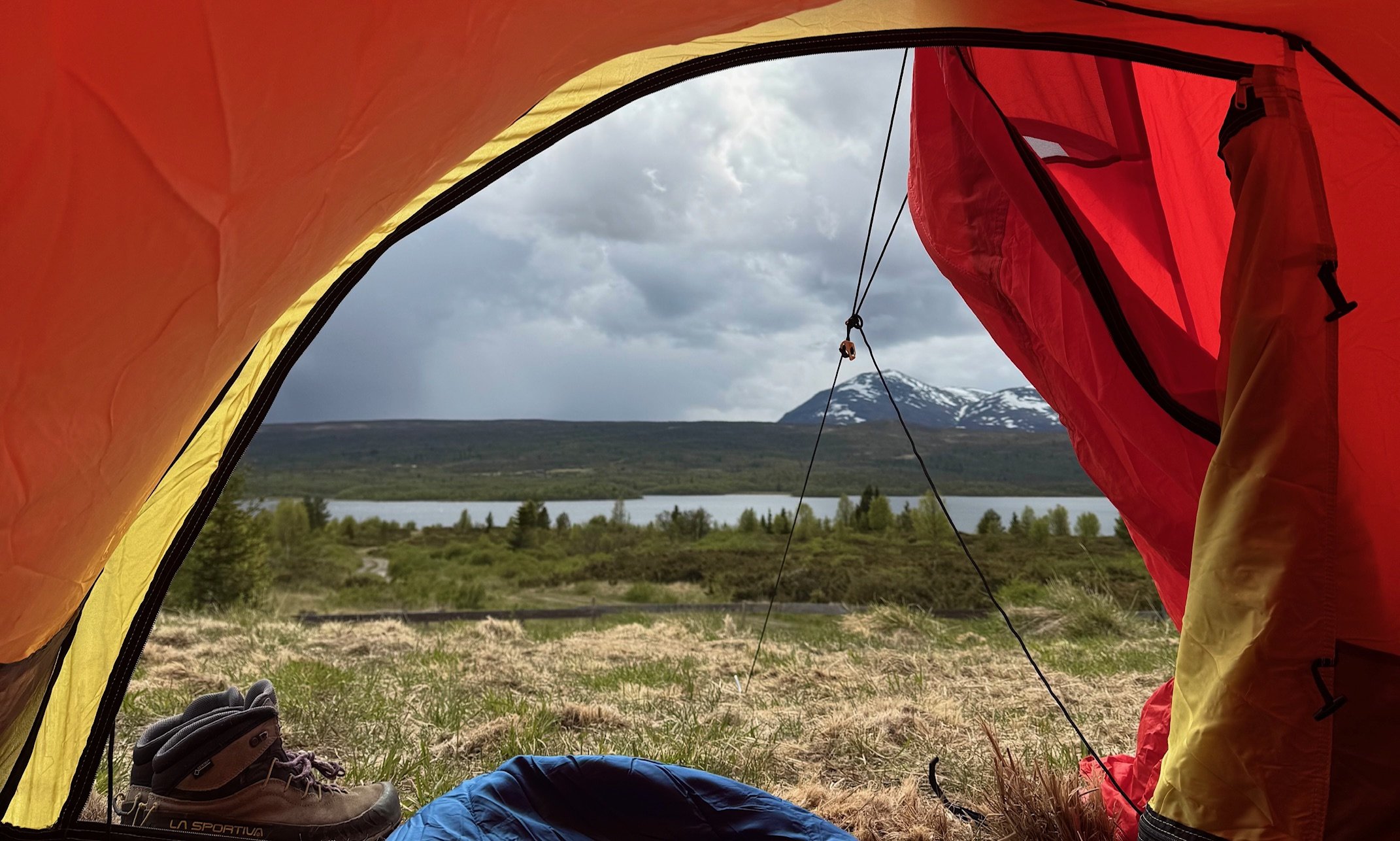 Teltbilde from charlottenosen.jpeg