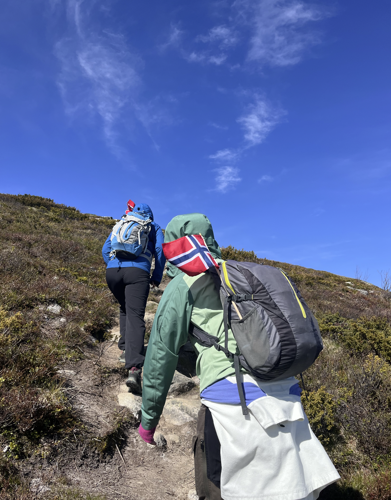 Screenshot 2026-02-12 at 09.16.11.png